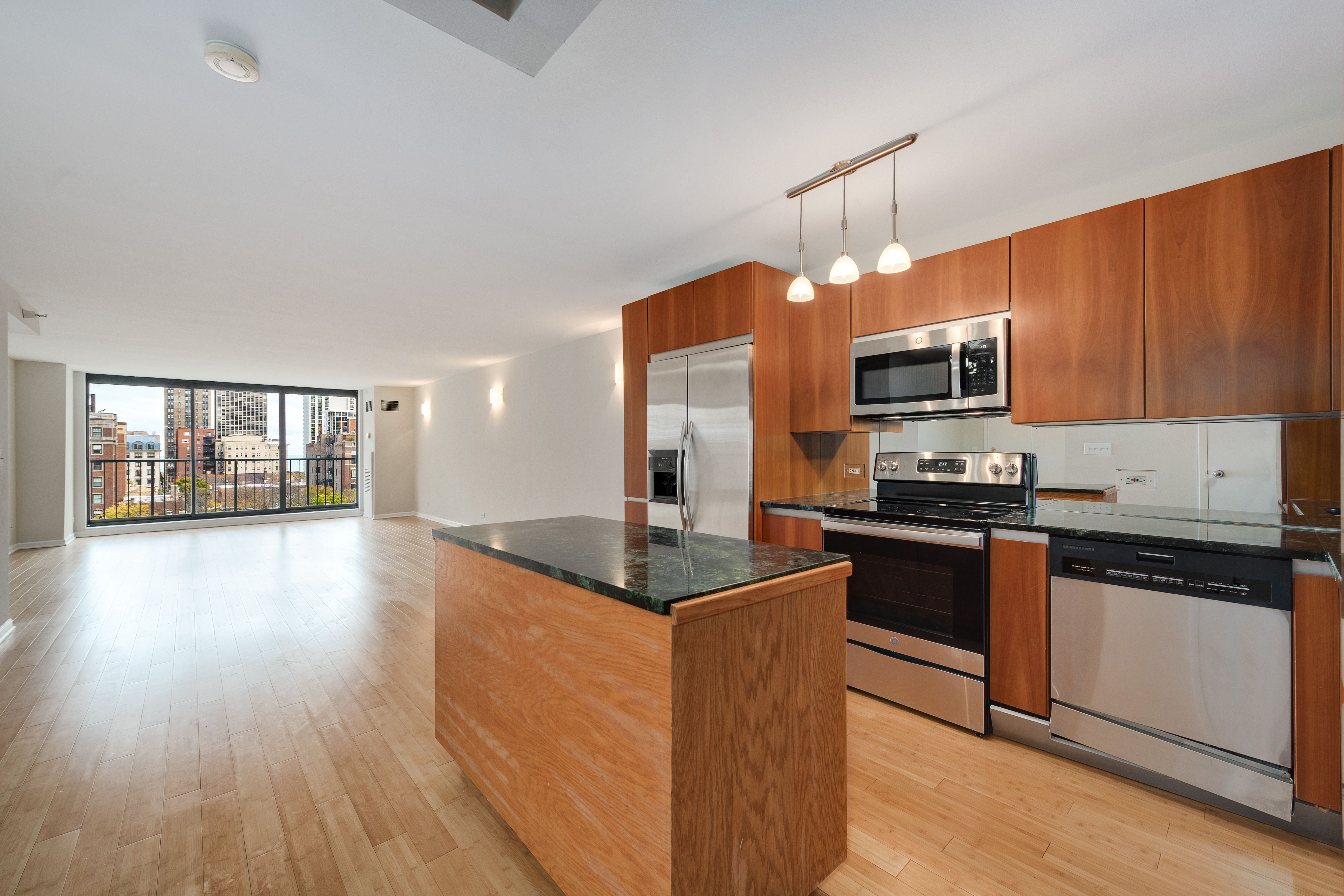 1250 N Dearborn Street Unit 8A