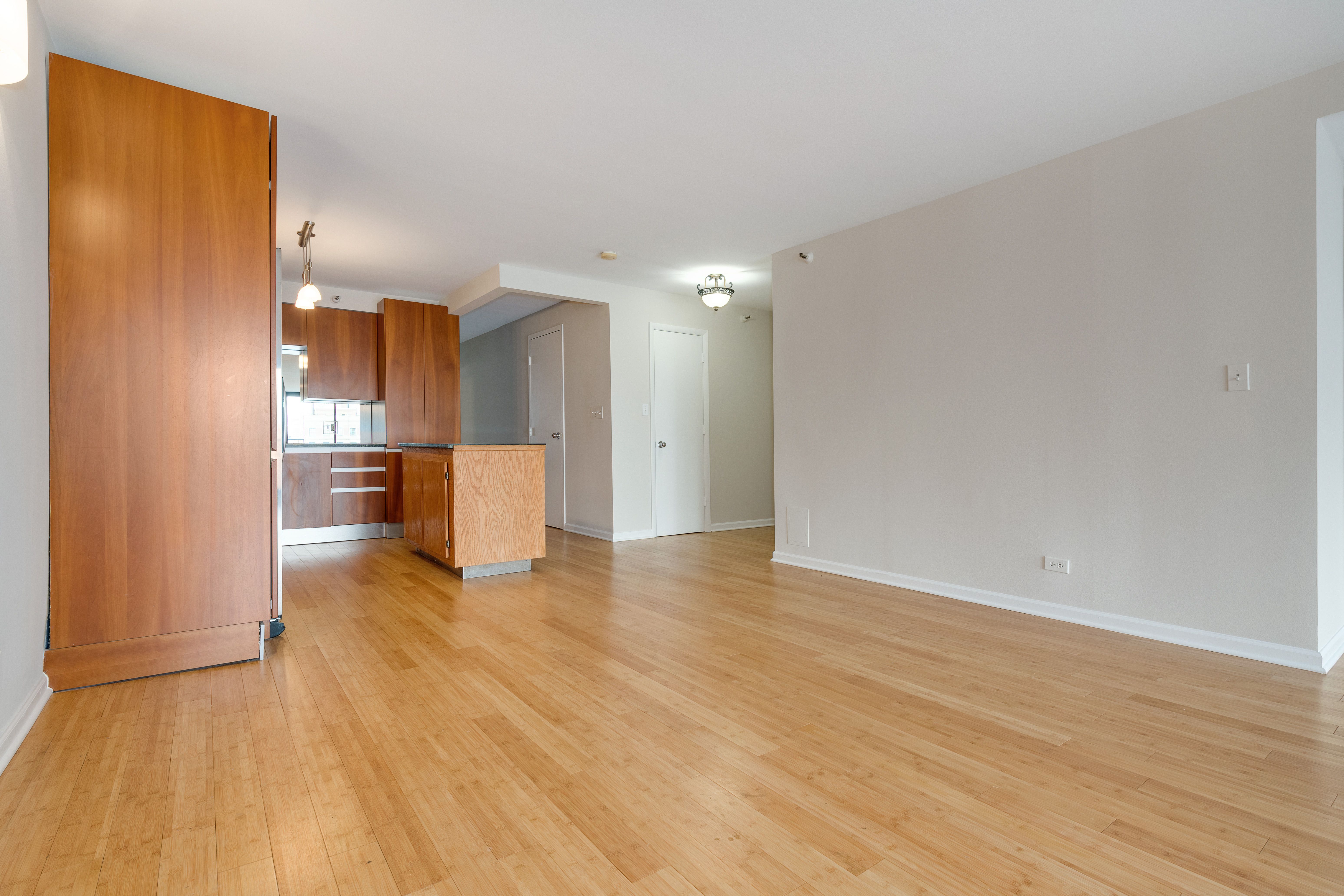 1250 N Dearborn Street Unit 8A