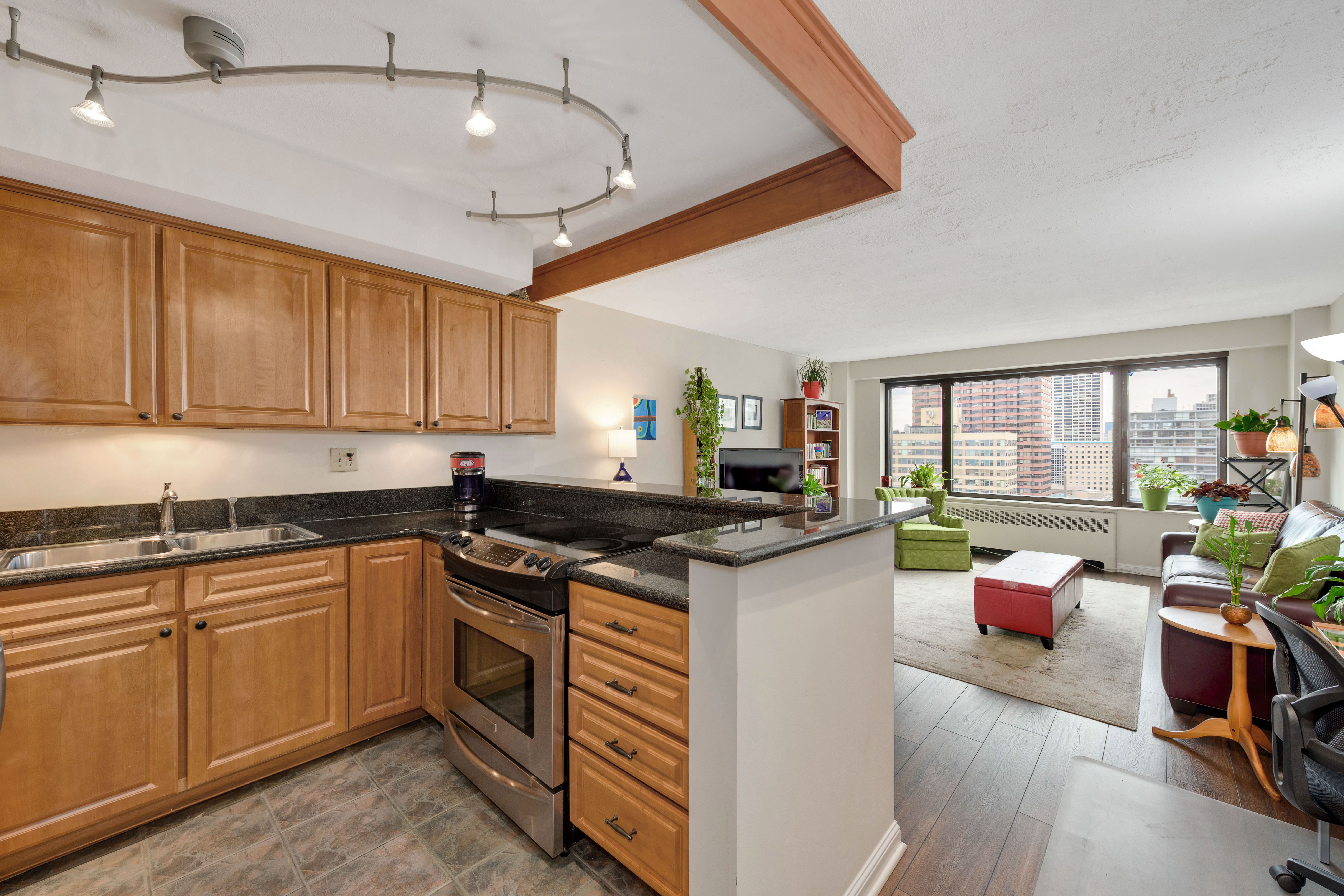 3100 N Lake Shore 1804 