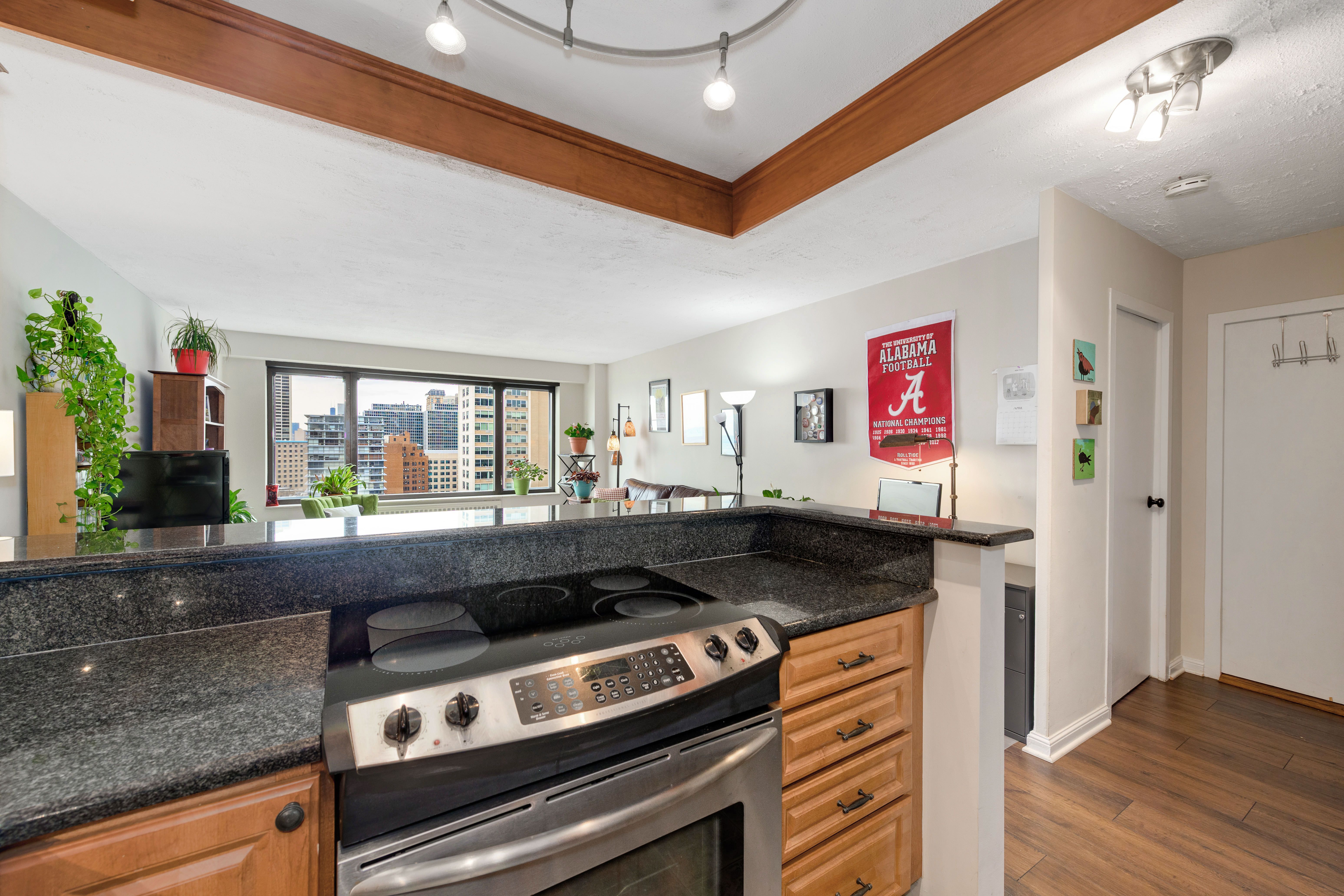 3100 N Lake Shore 1804 