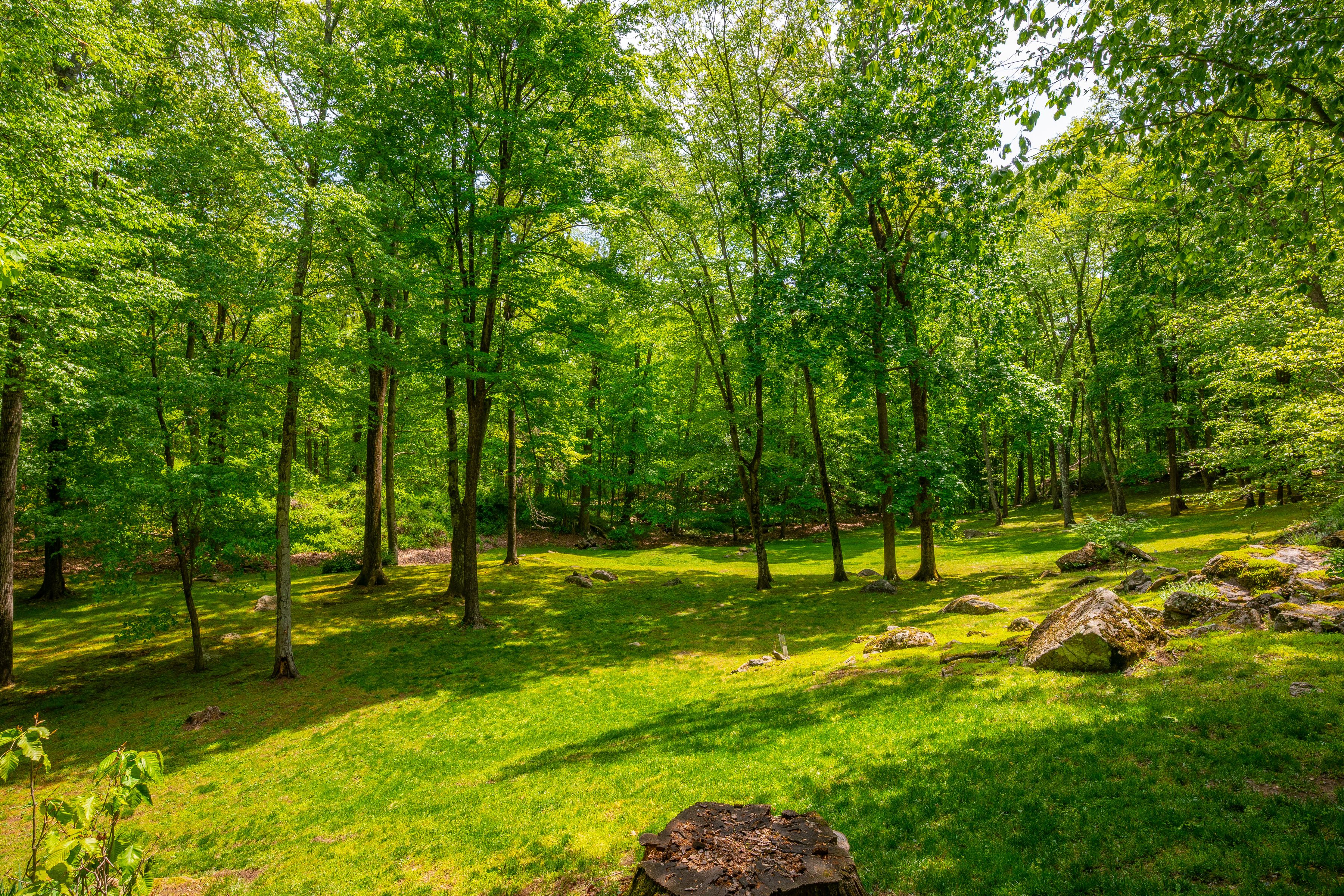 90 Taconic Road