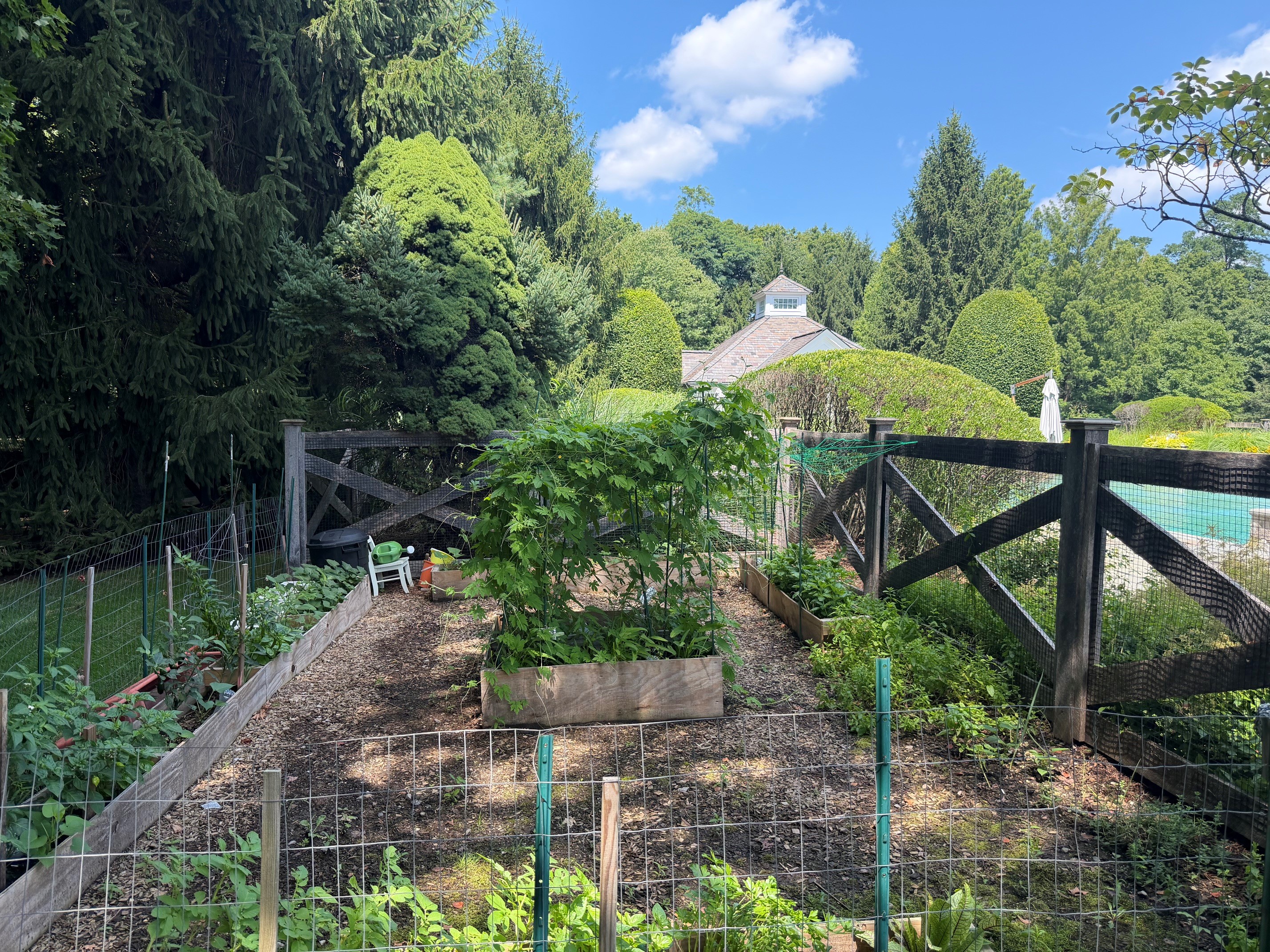 11 Skyridge Road 