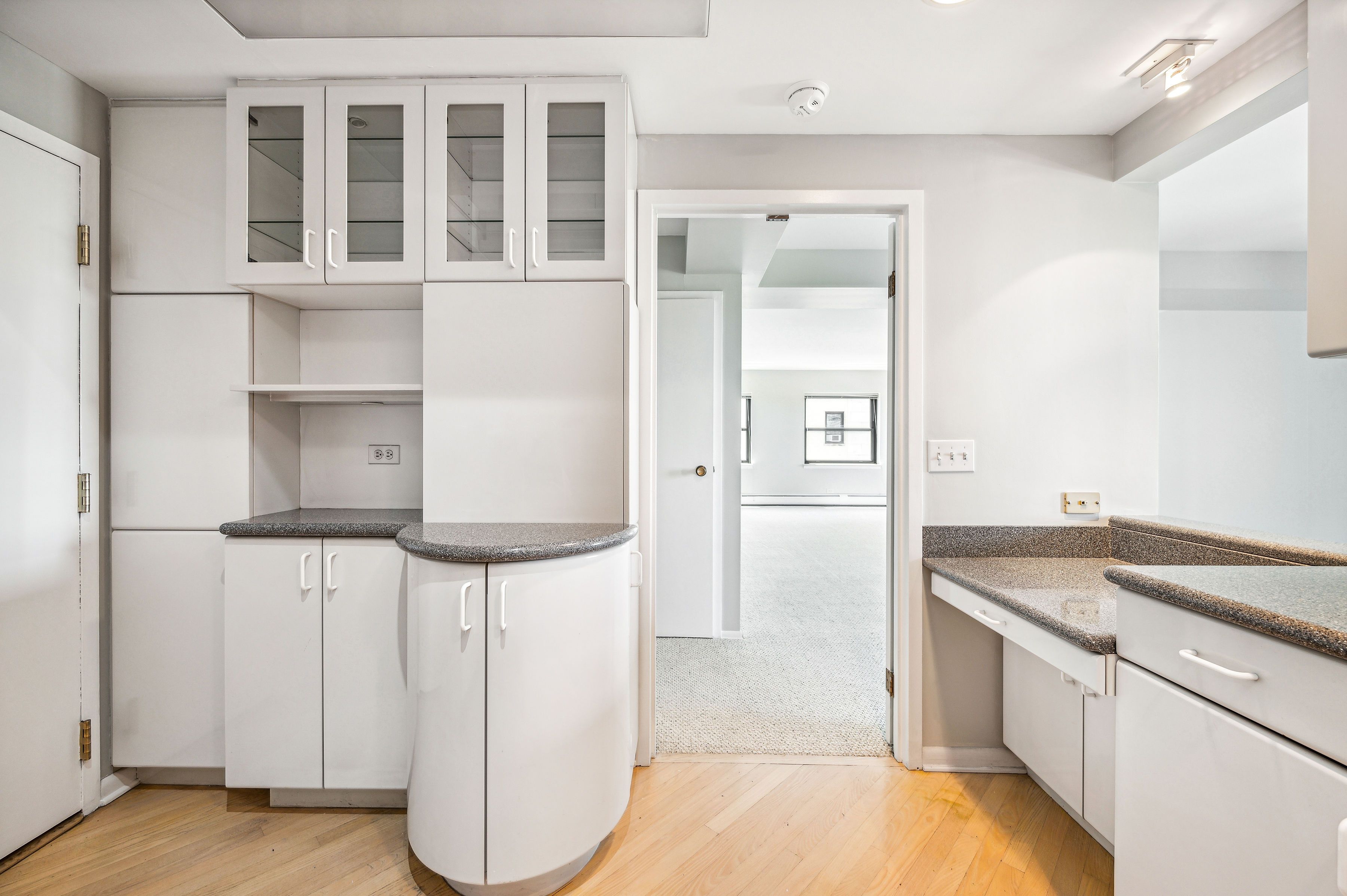 2100 N Lincoln Park West Street Unit# 12DS