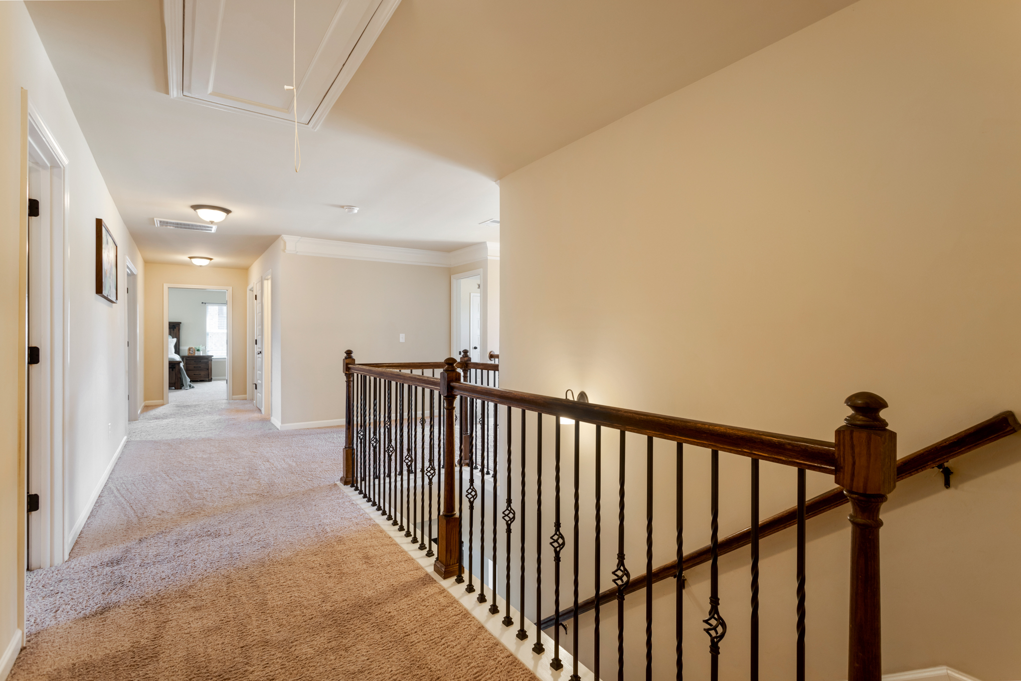 313 Bohannon Court