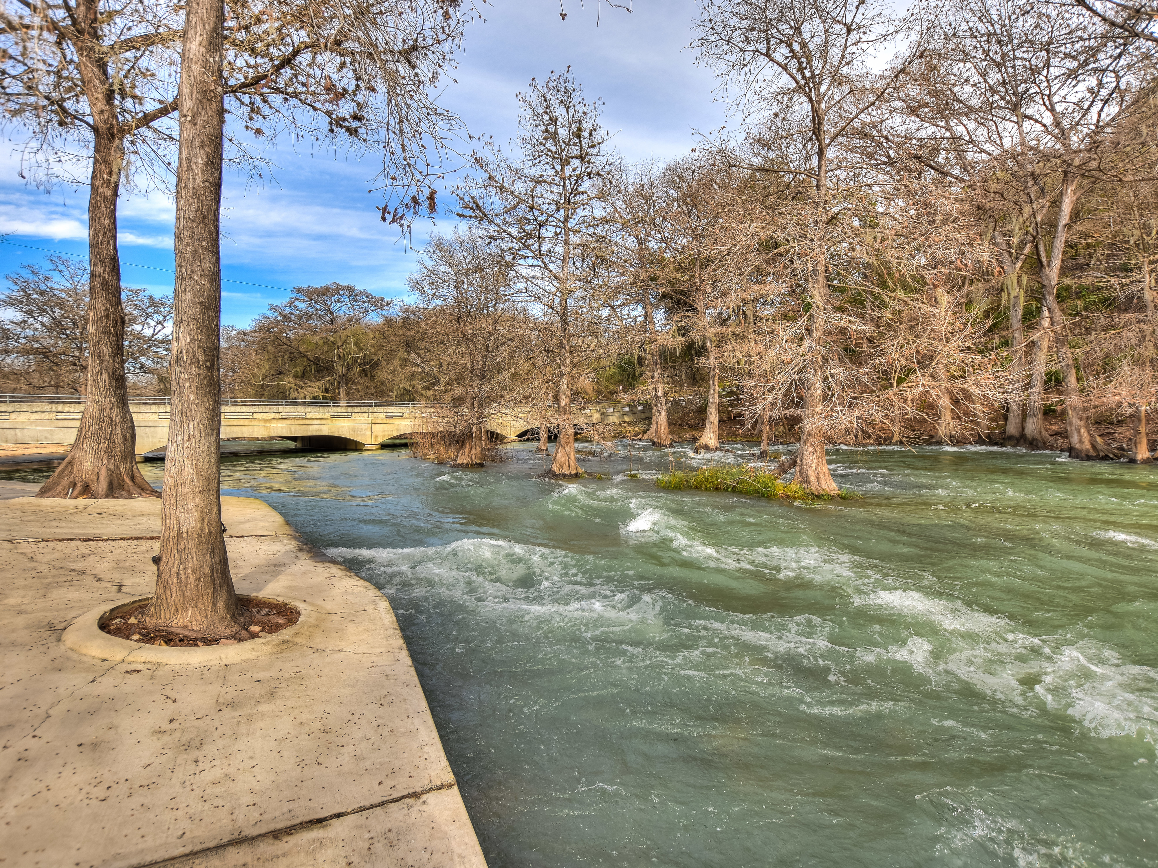1554 Gruene Road, Unit A9