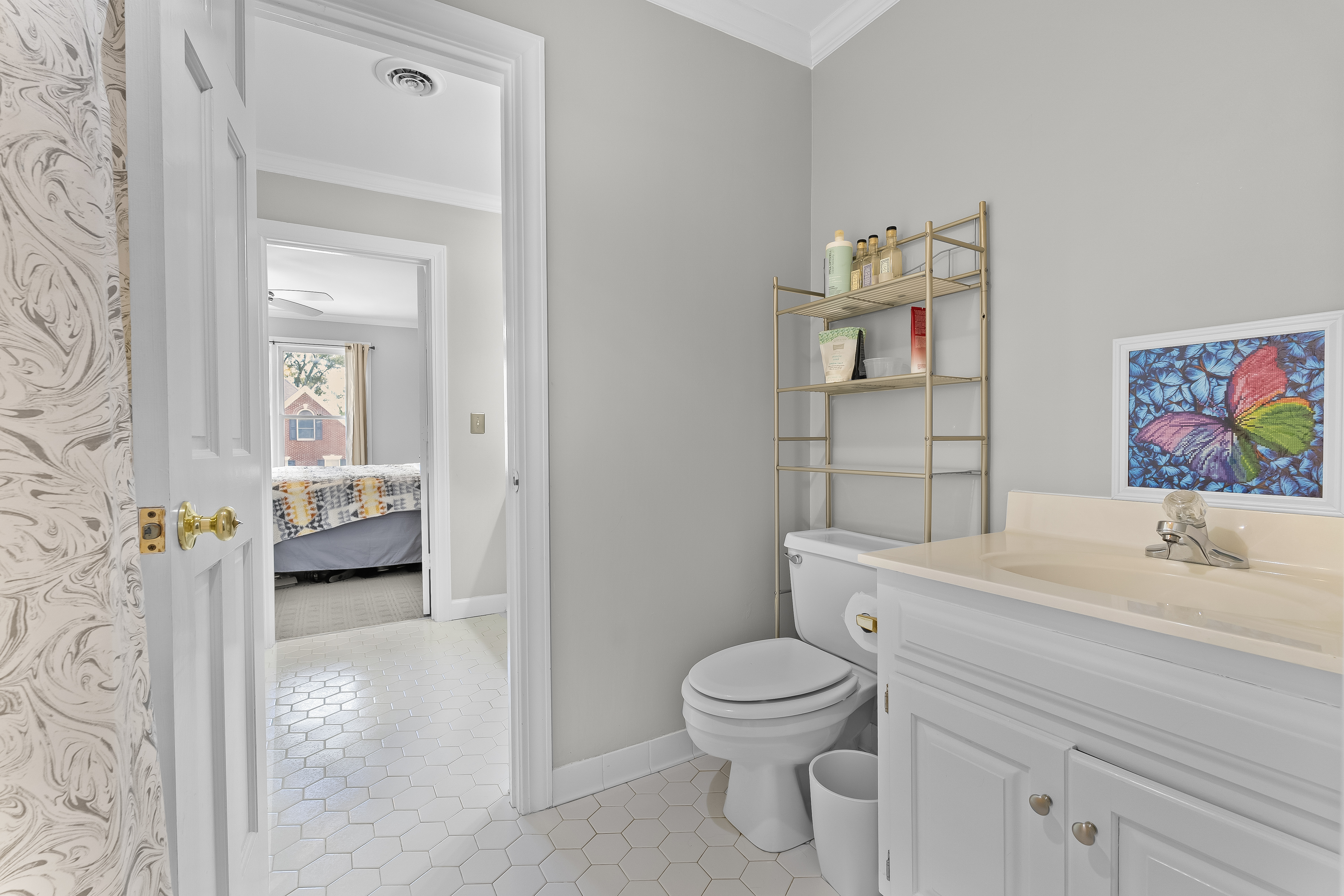 501 Meadowsweet Lane 