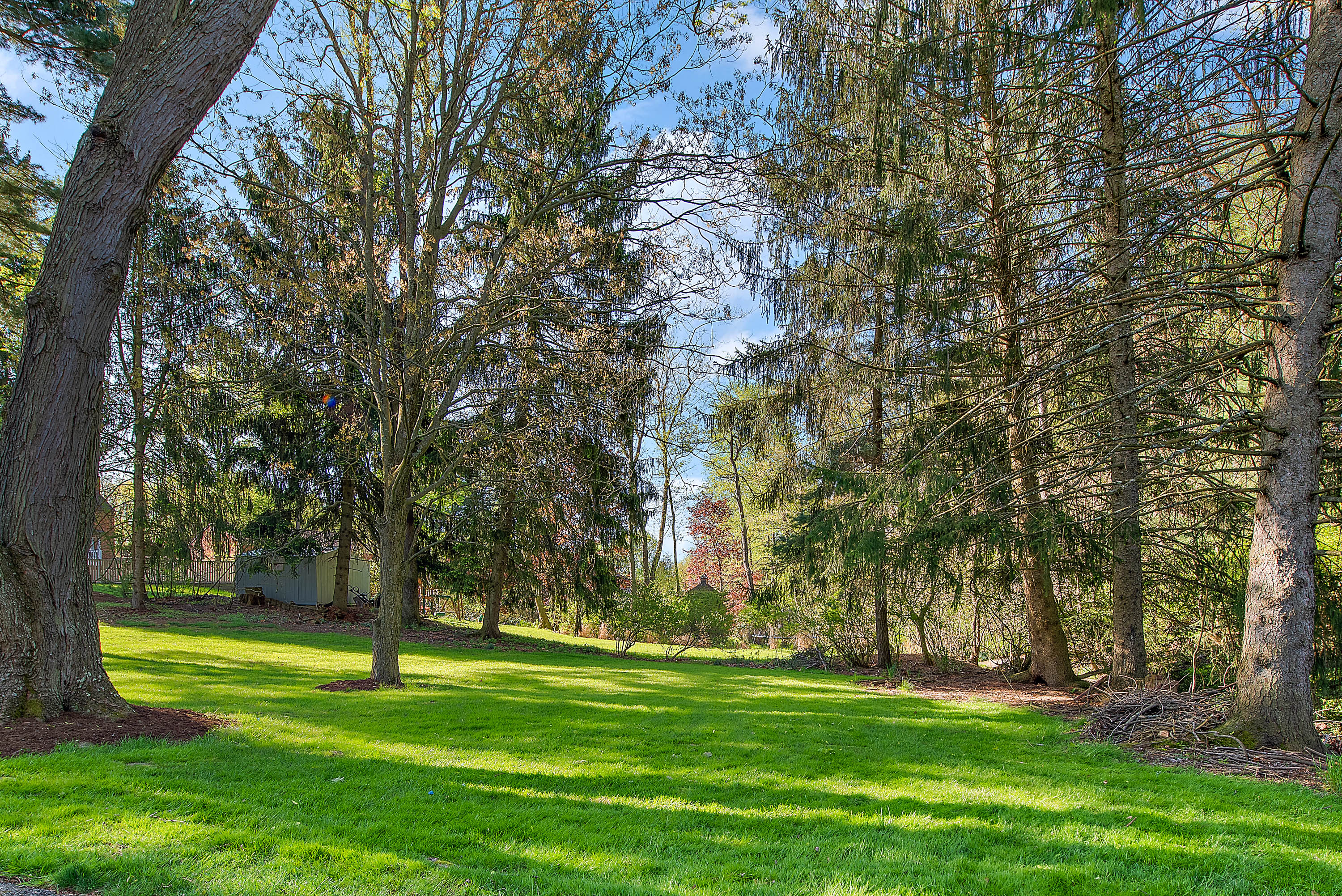 1549 Dalton Drive