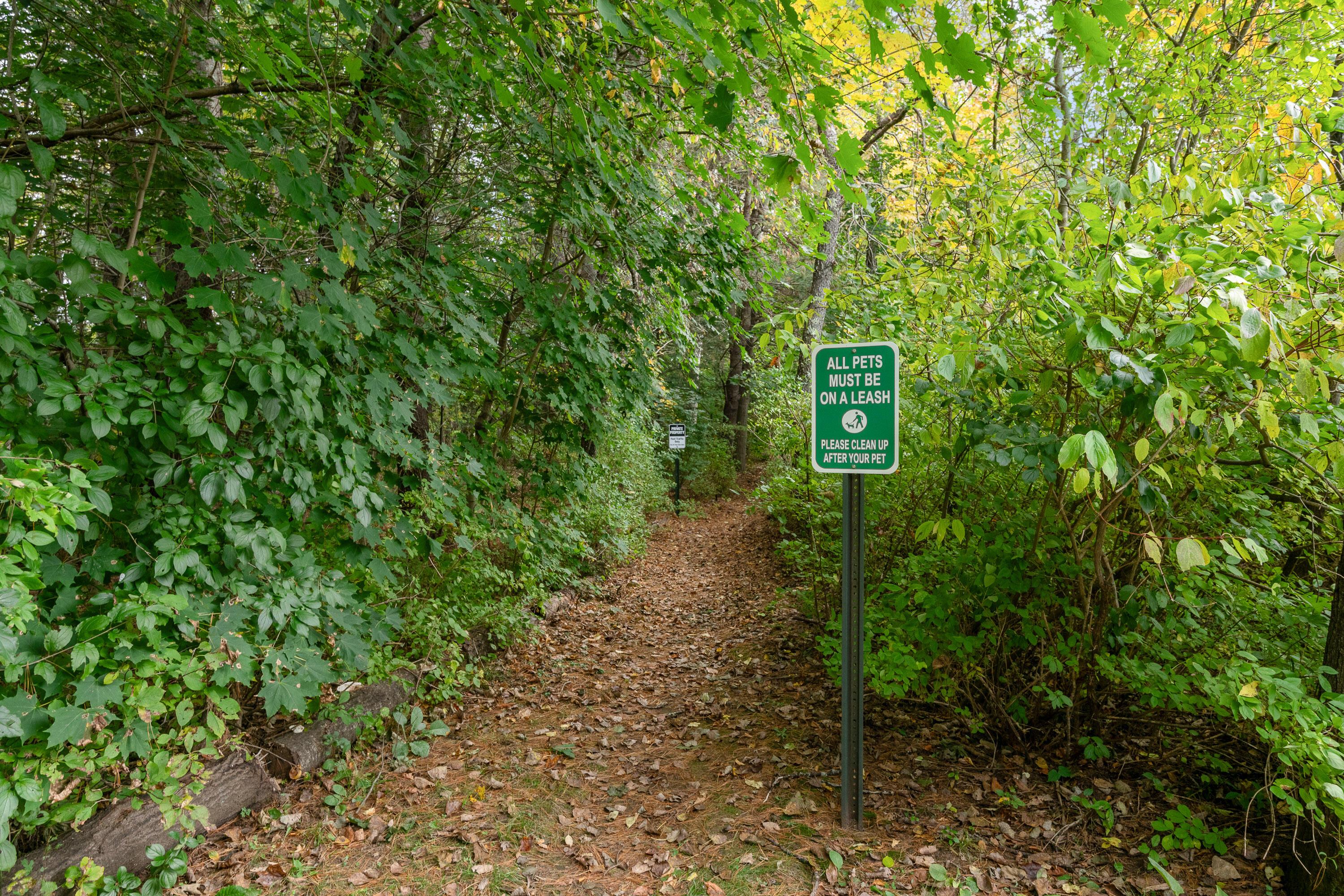 2 Mast Lane 2
