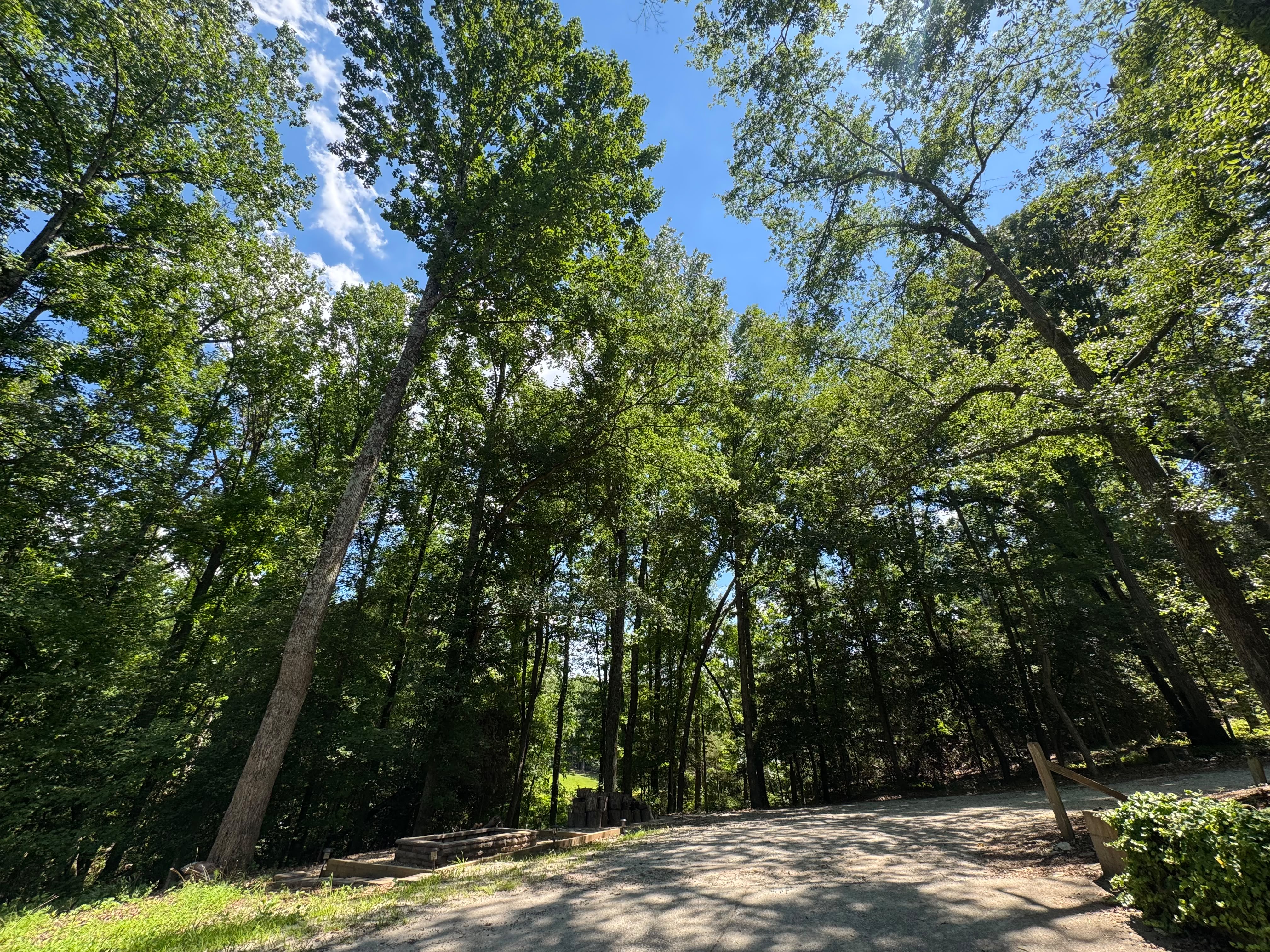 535 Mahaffey Drive 