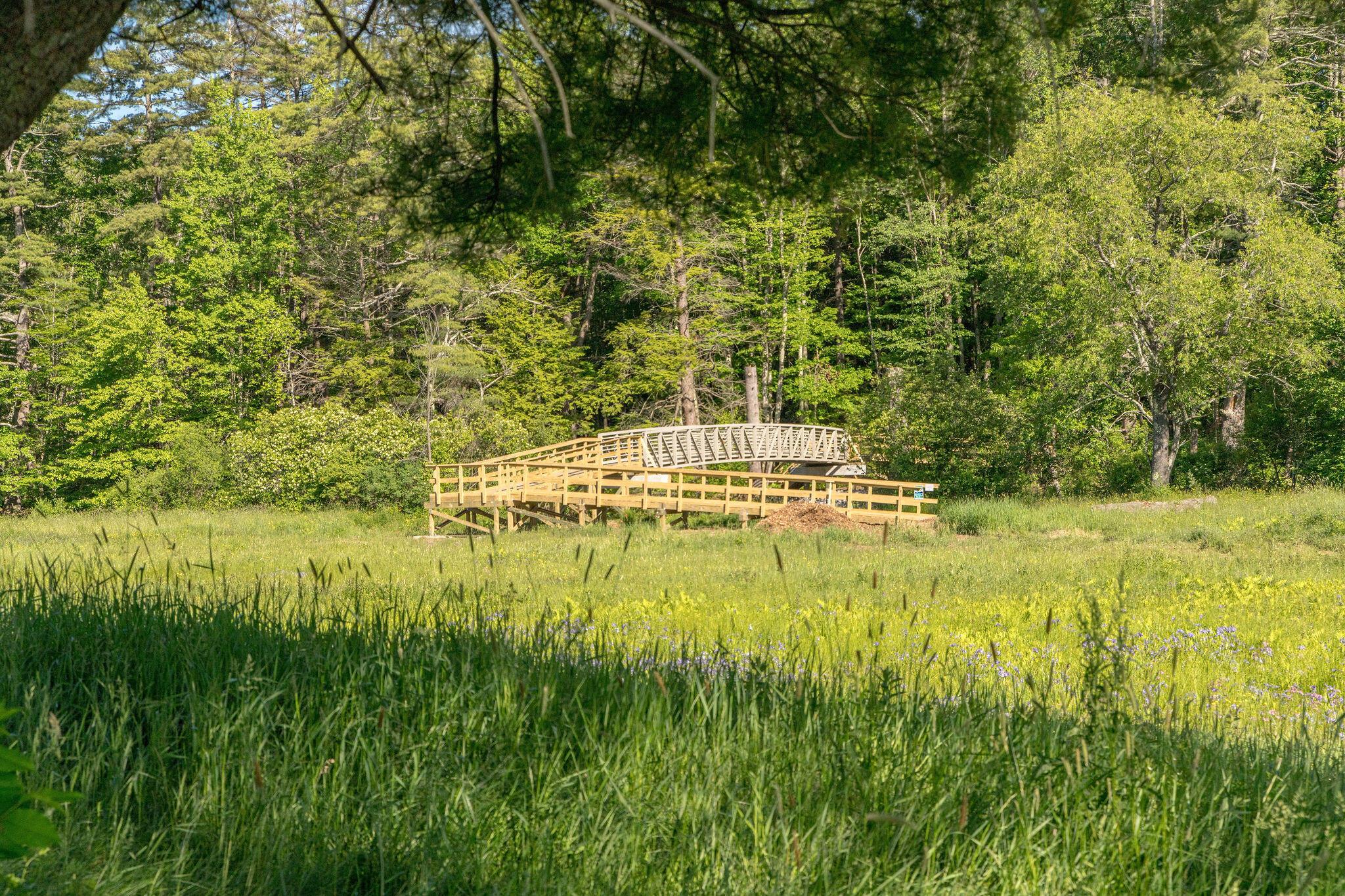163 Owl's Nest Road