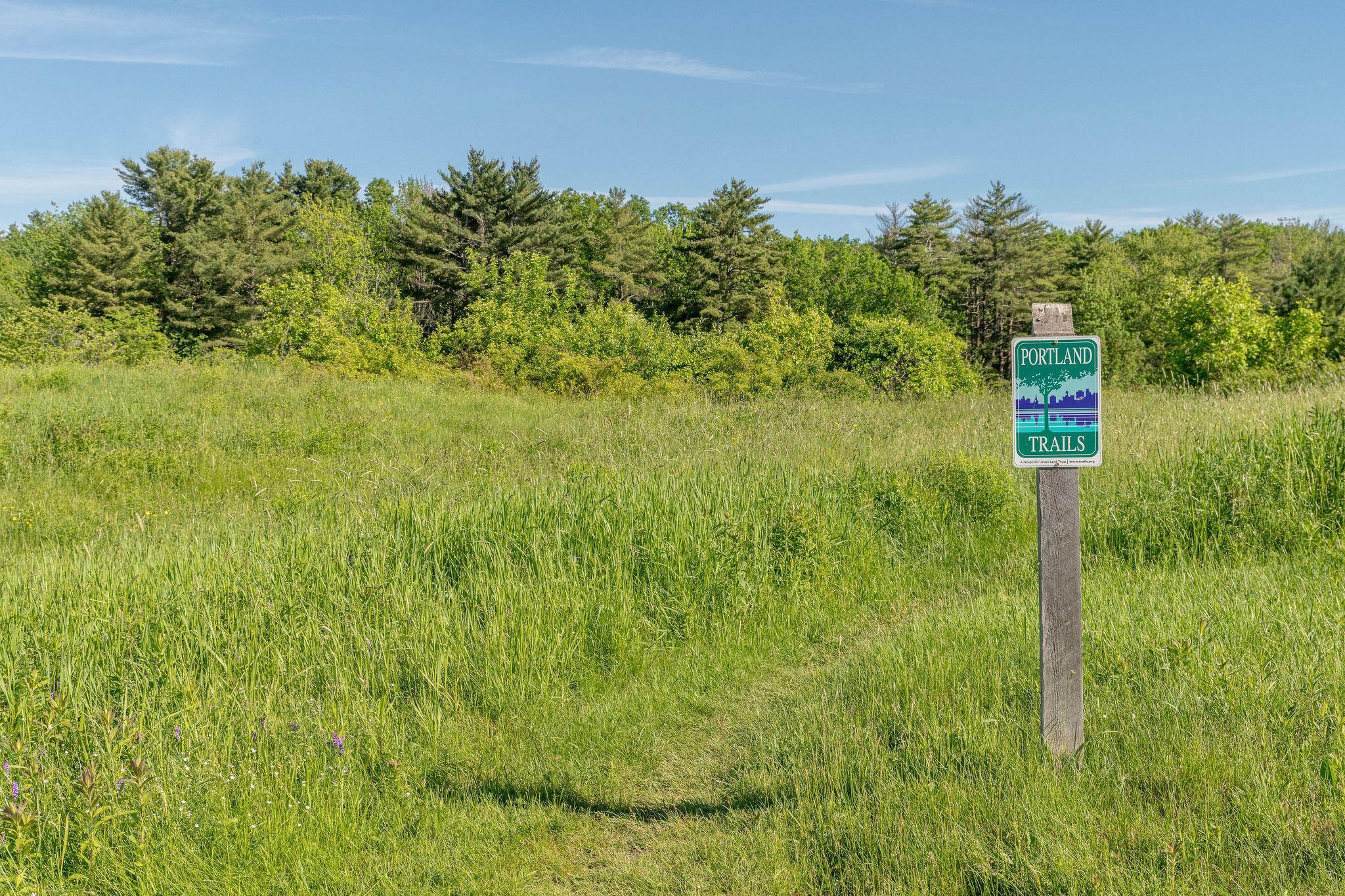 163 Owl's Nest Road