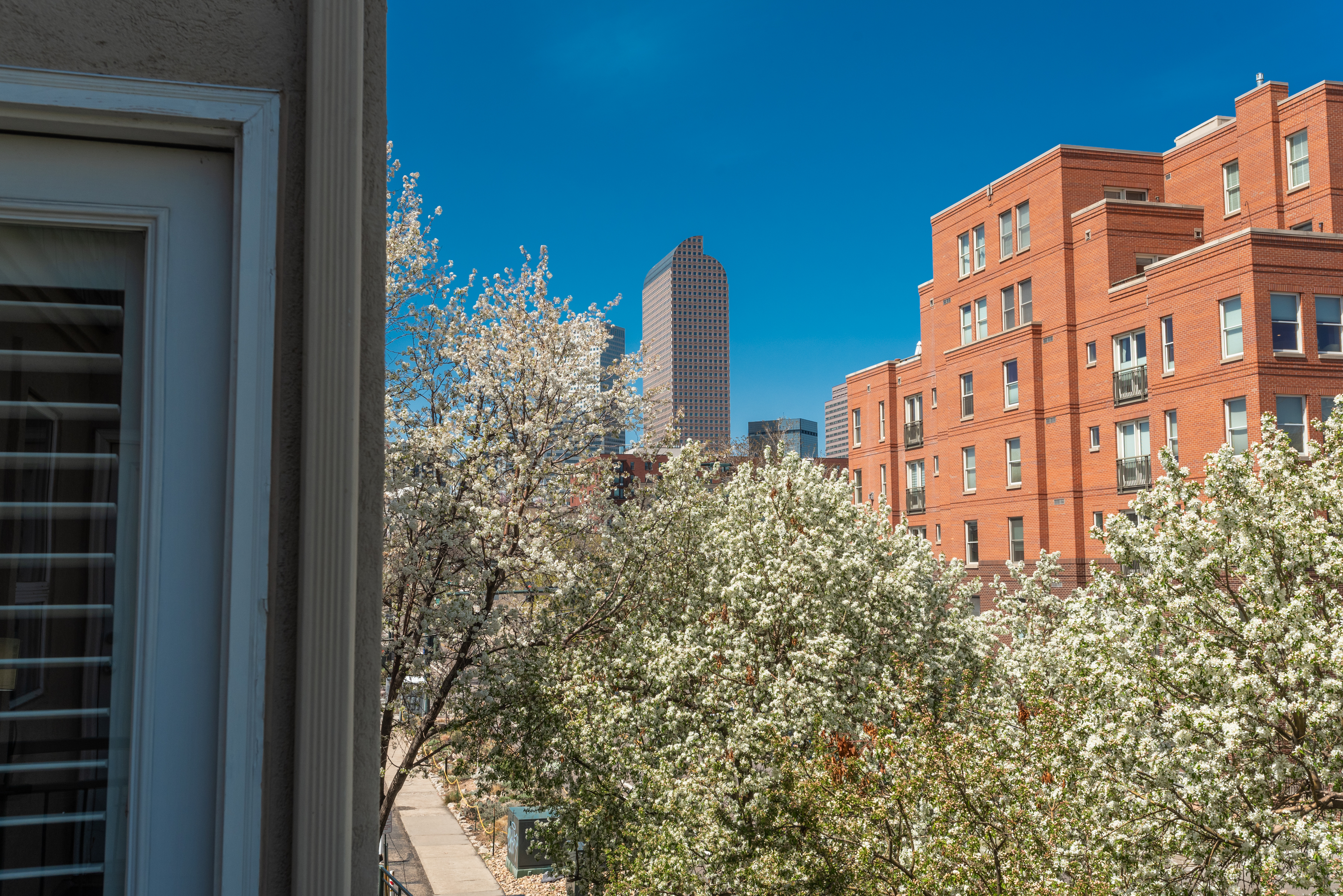 880 E 16th Avenue Unit D