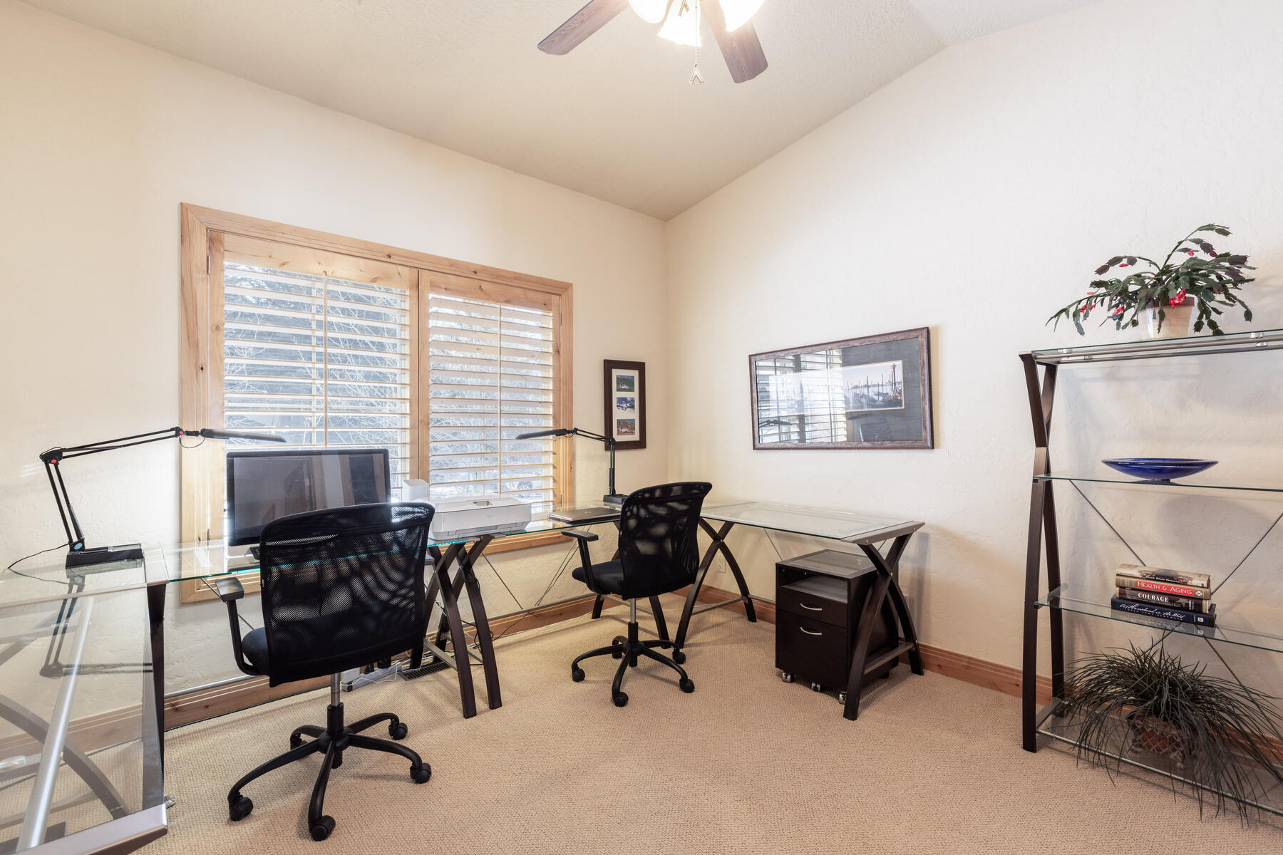 3717 W Saddleback Rd