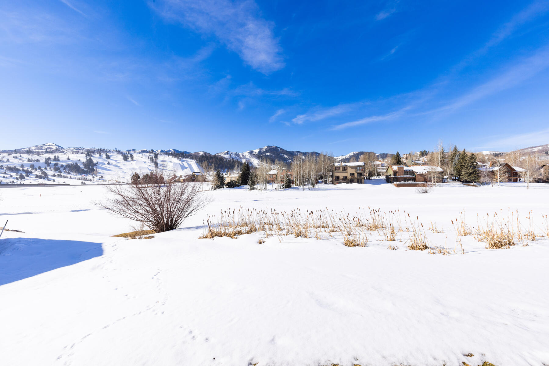 3717 W Saddleback Rd