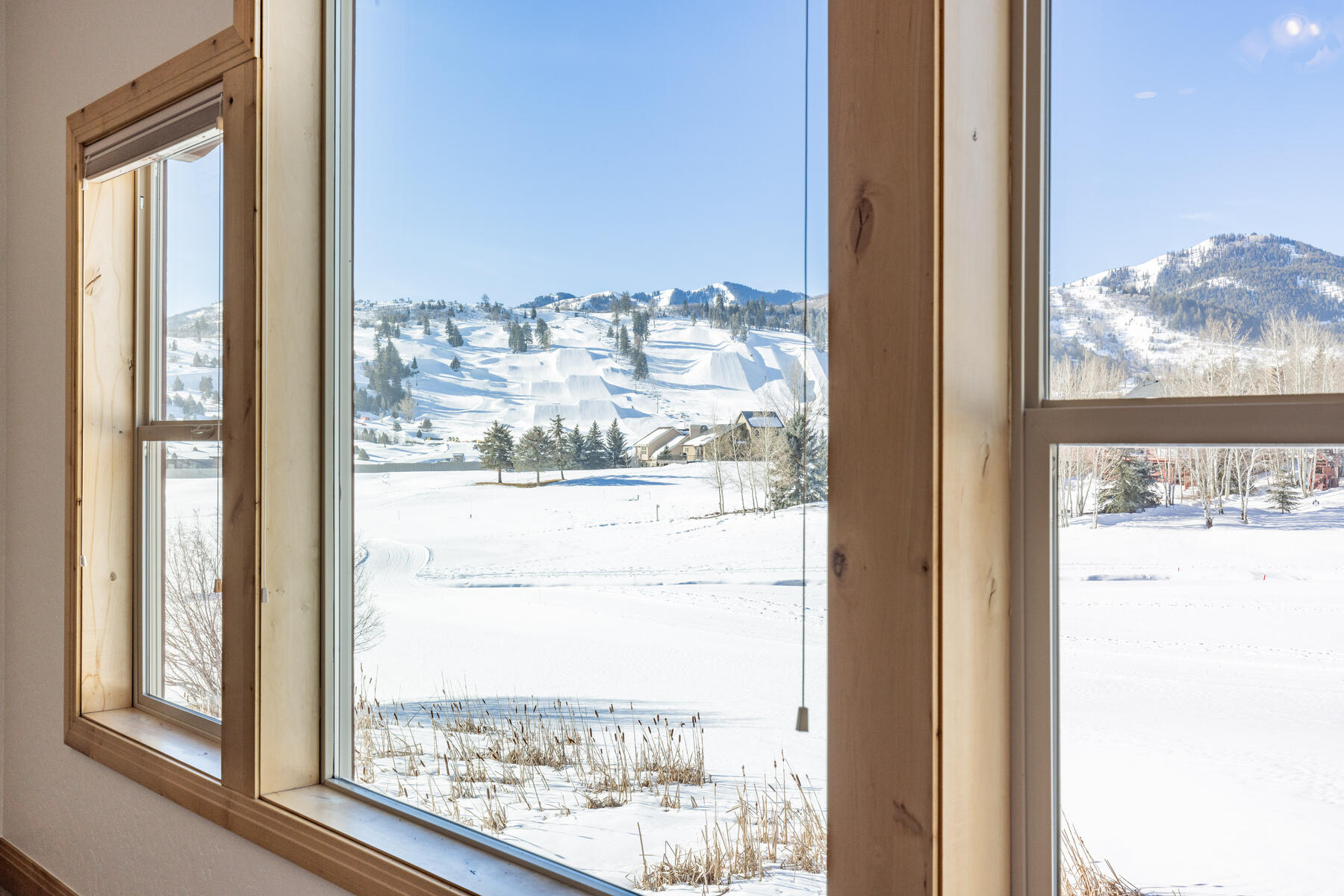 3717 W Saddleback Rd