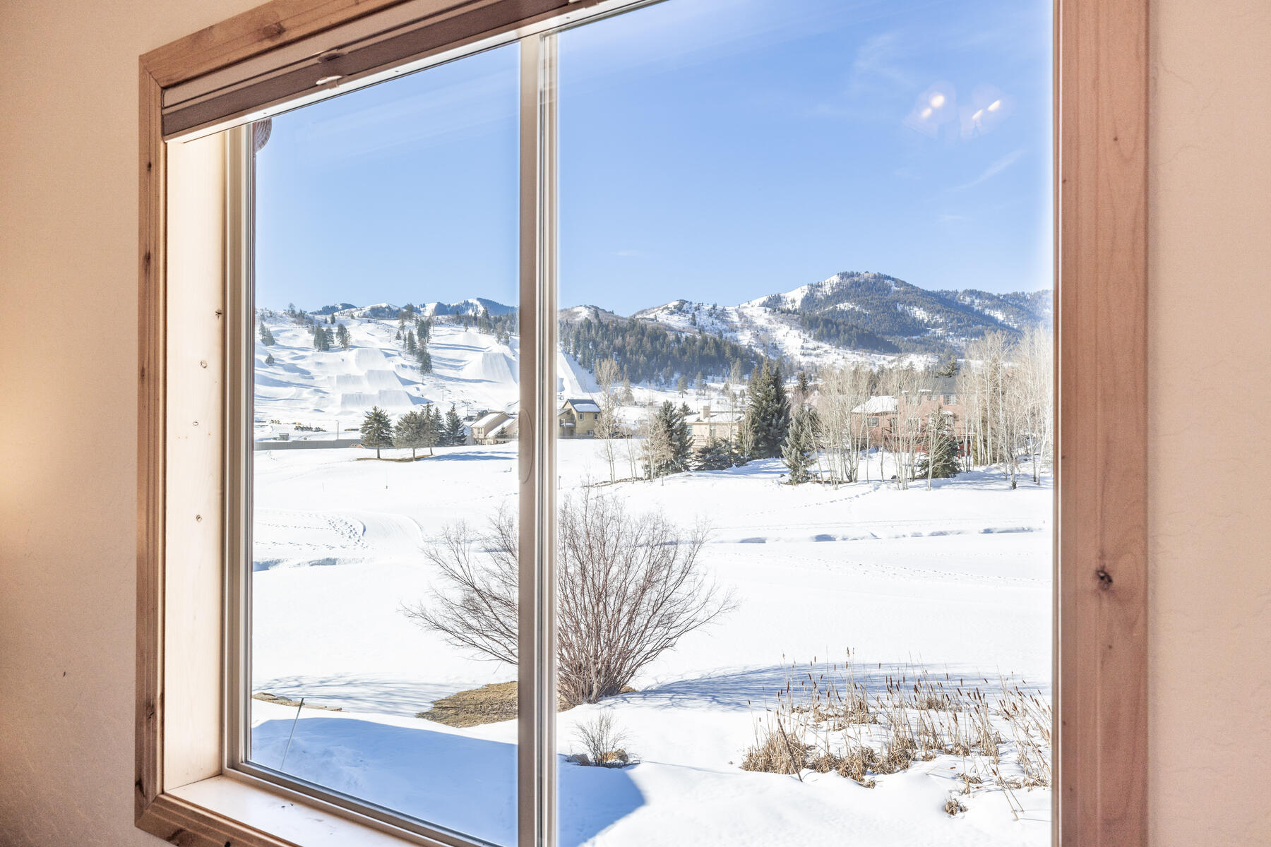 3717 W Saddleback Rd