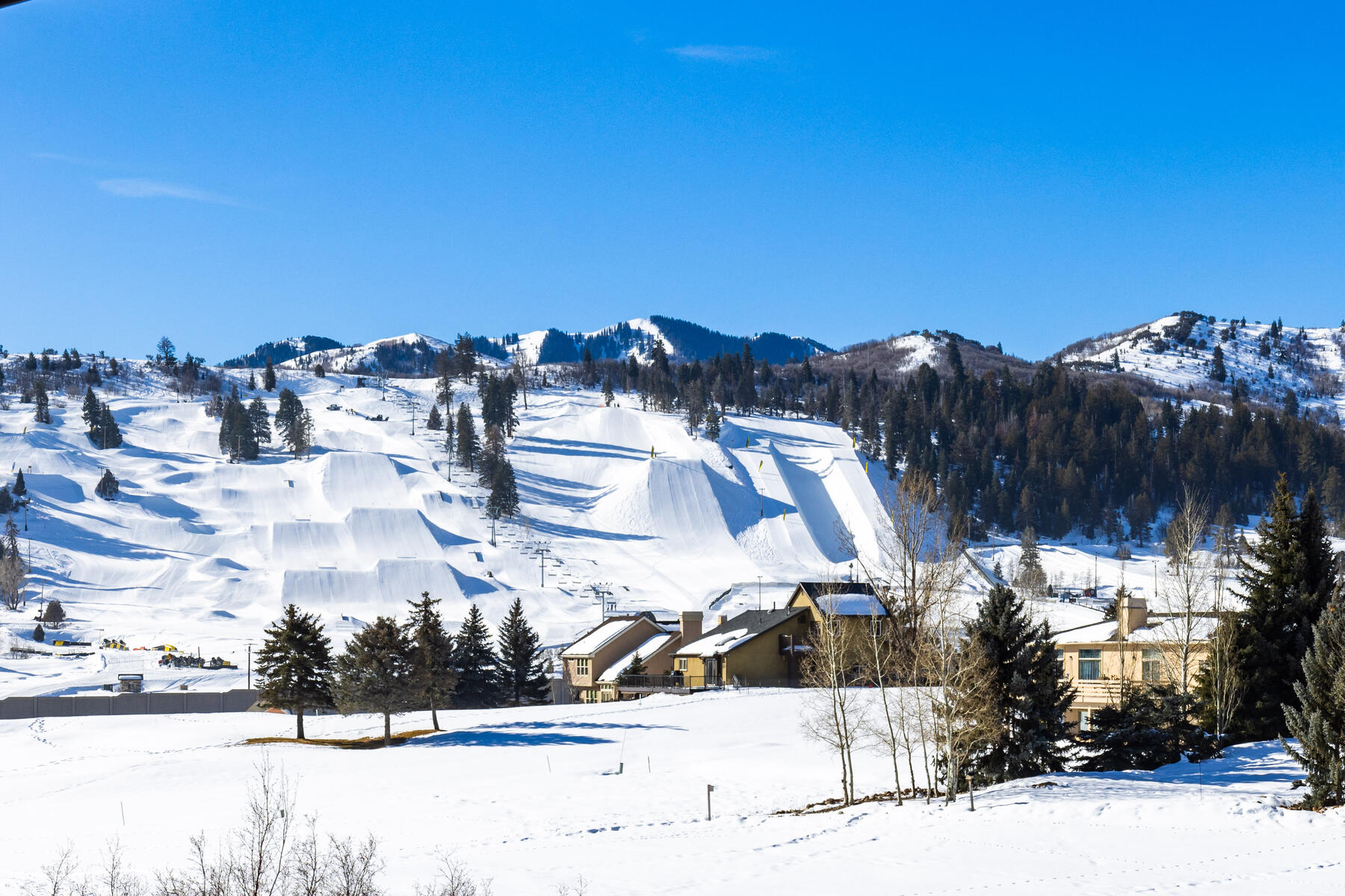 3717 W Saddleback Rd