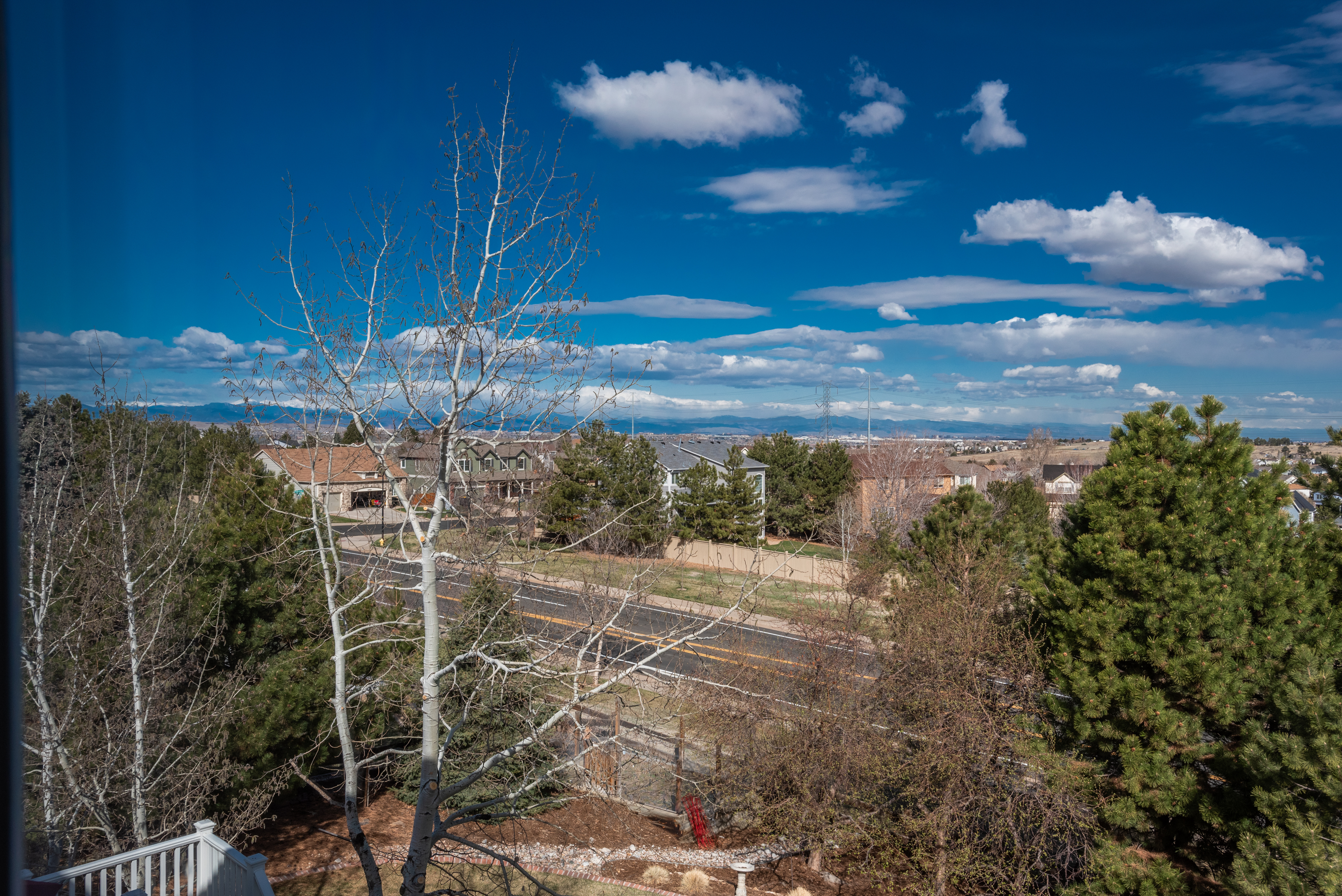 22155 Laurel Oak Drive 