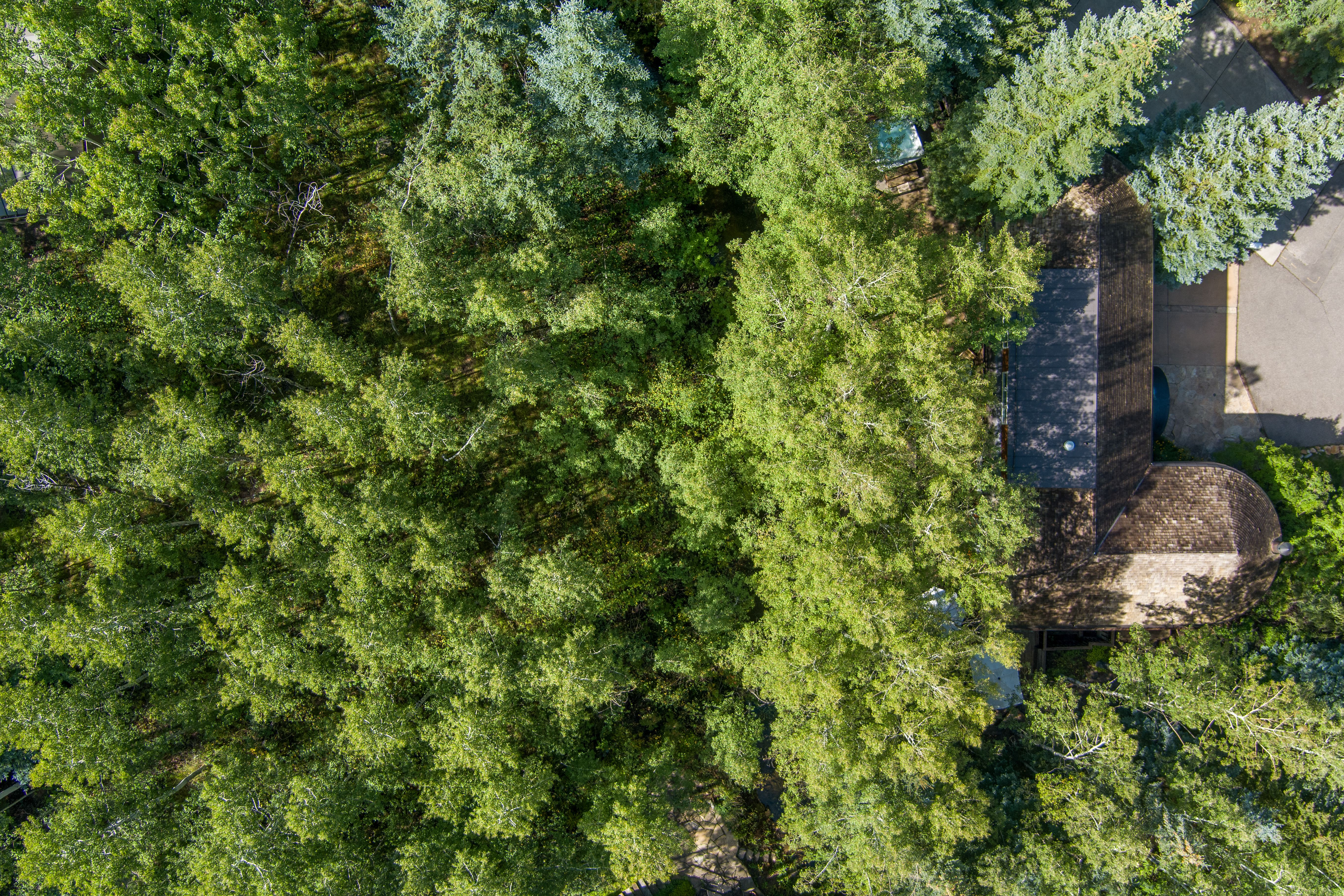 66 Alpine Court 