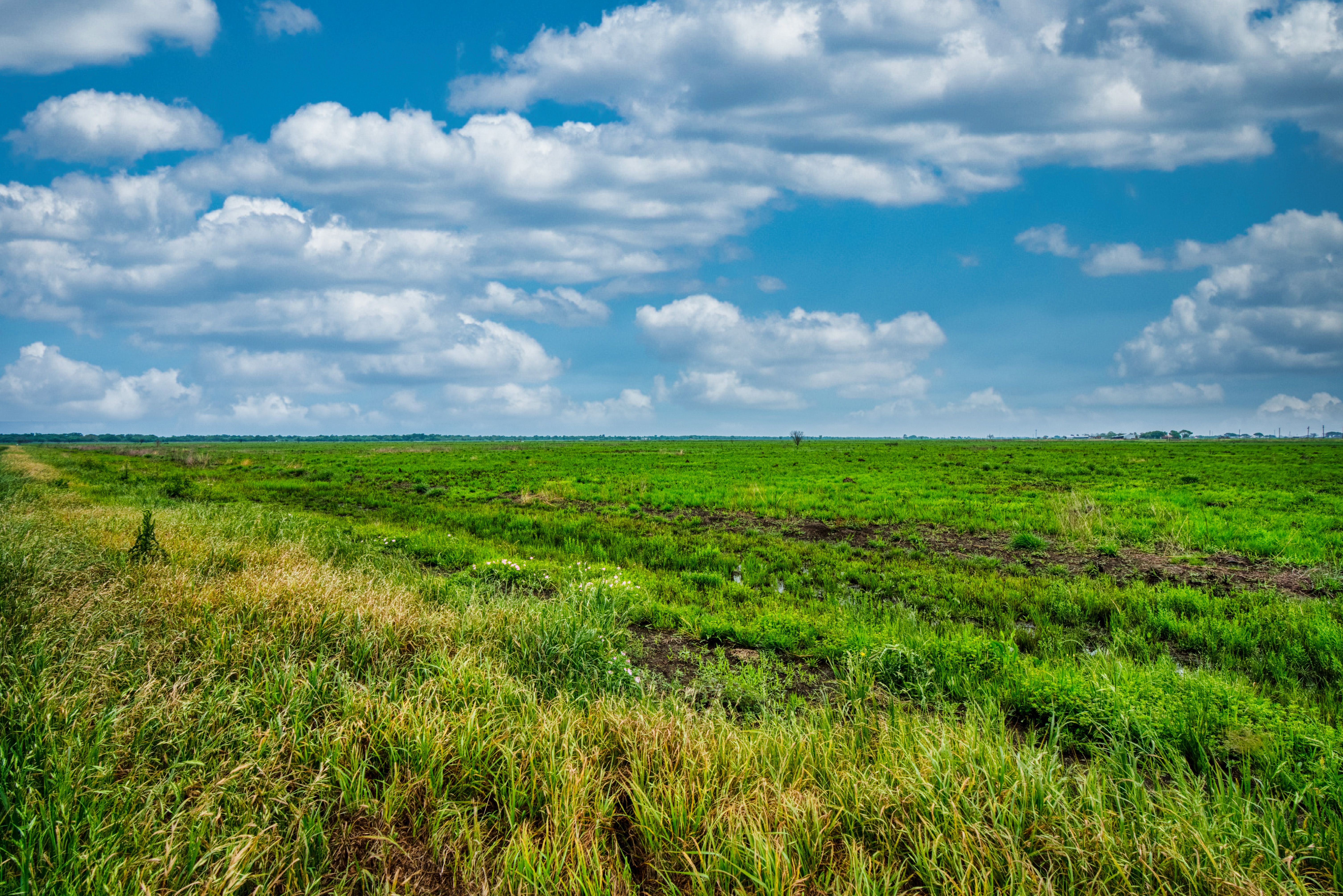TBD County Road 385 