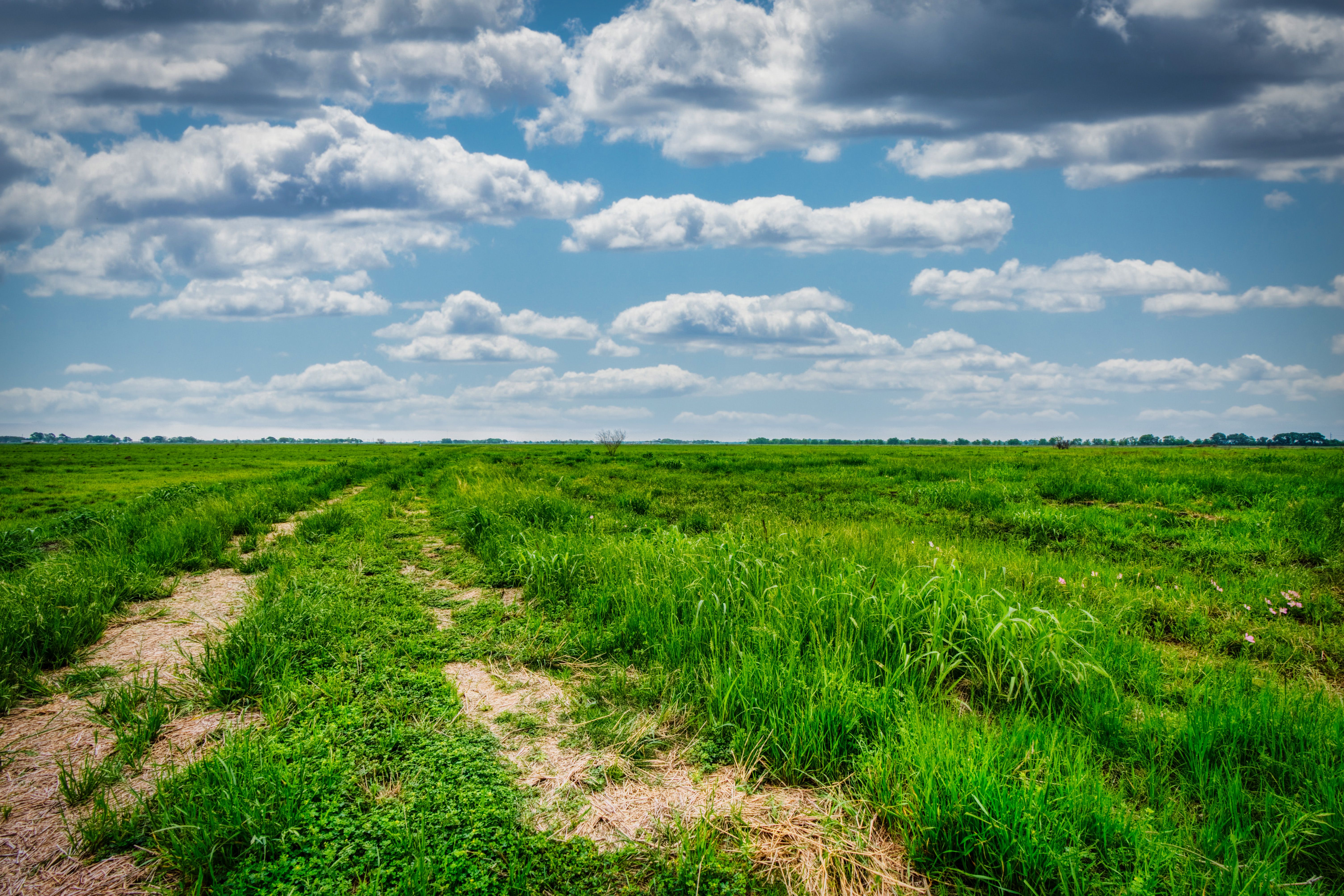 TBD County Road 385 