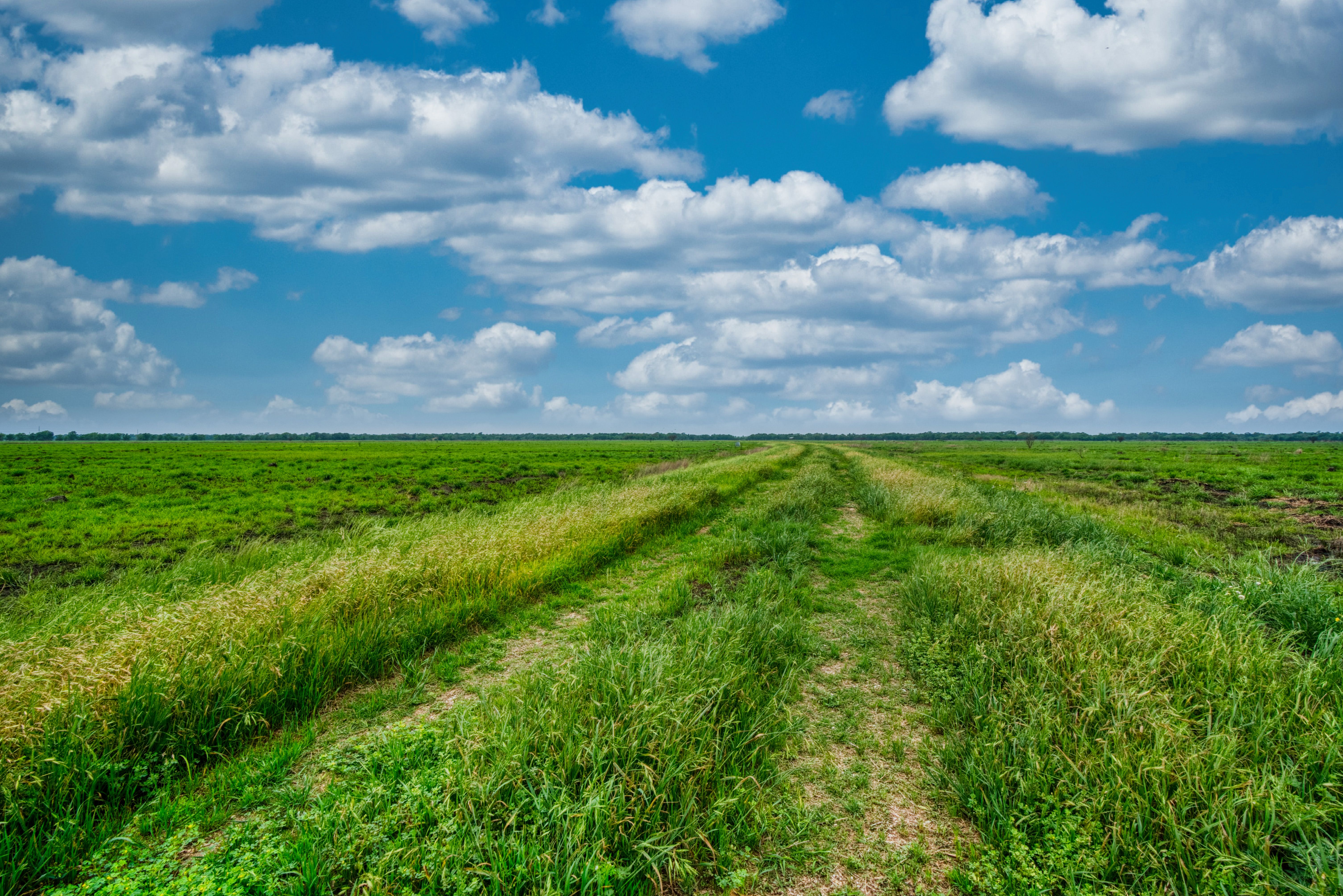 TBD County Road 385 