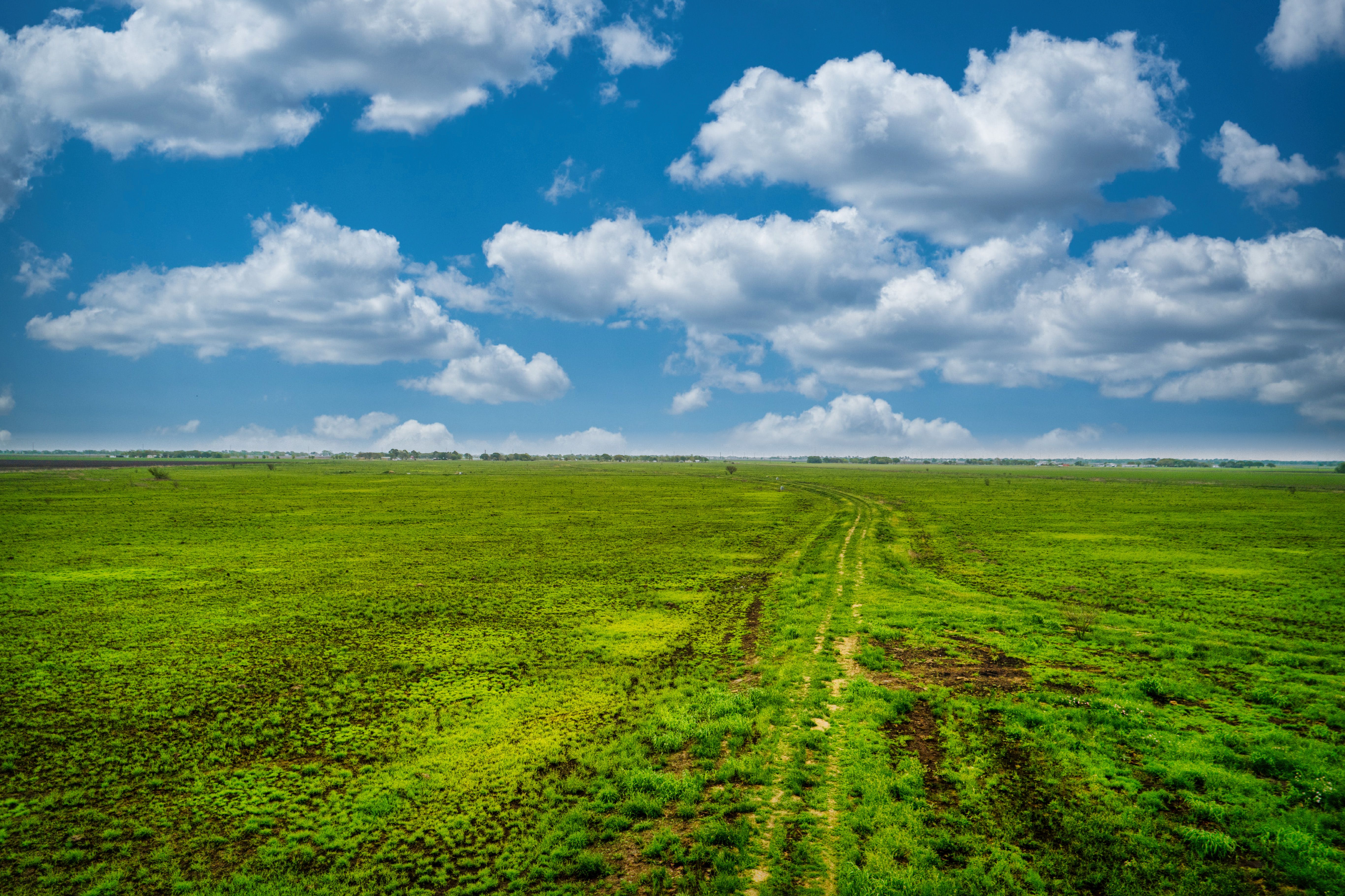 TBD County Road 385 