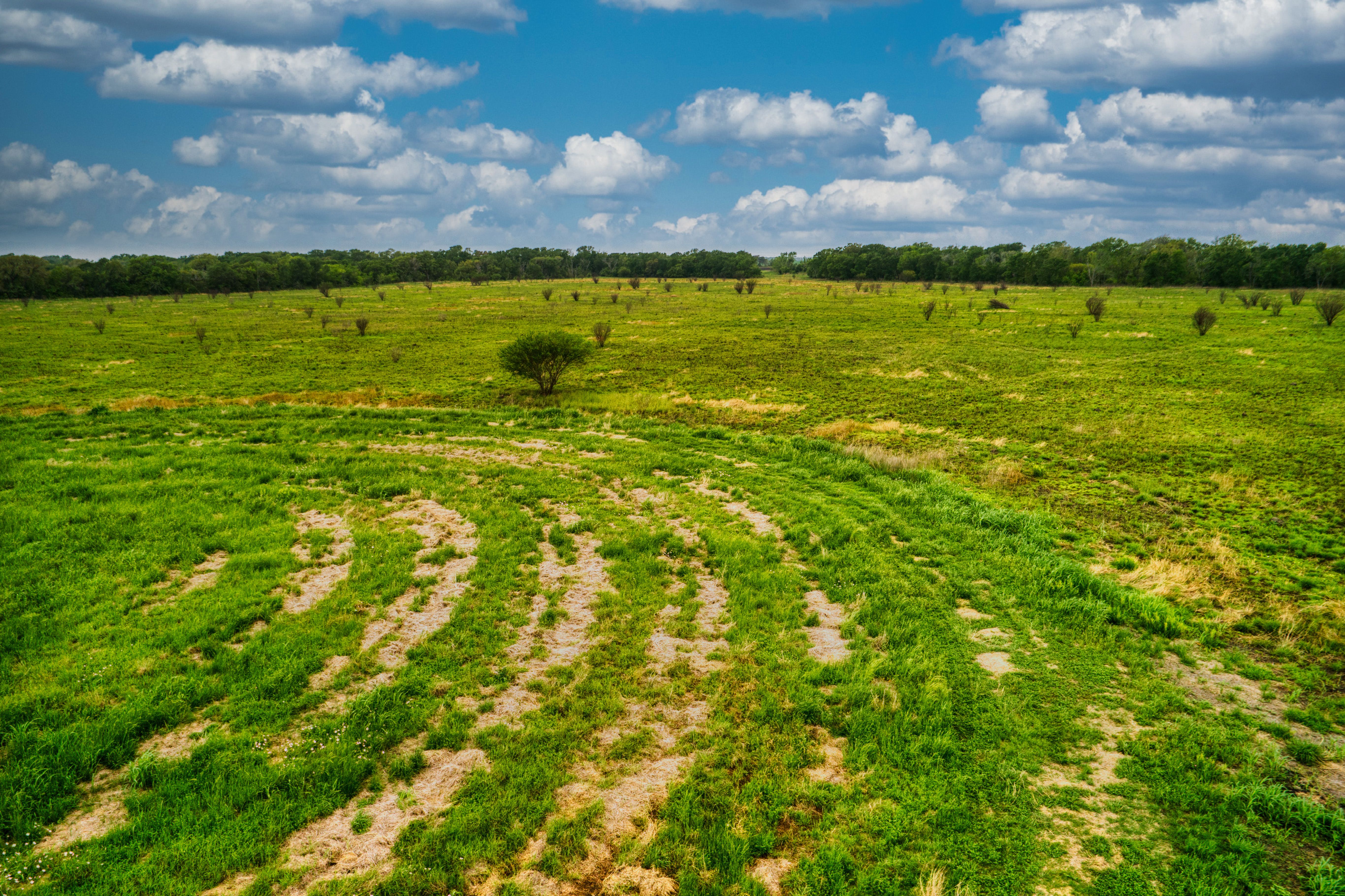 TBD County Road 385 