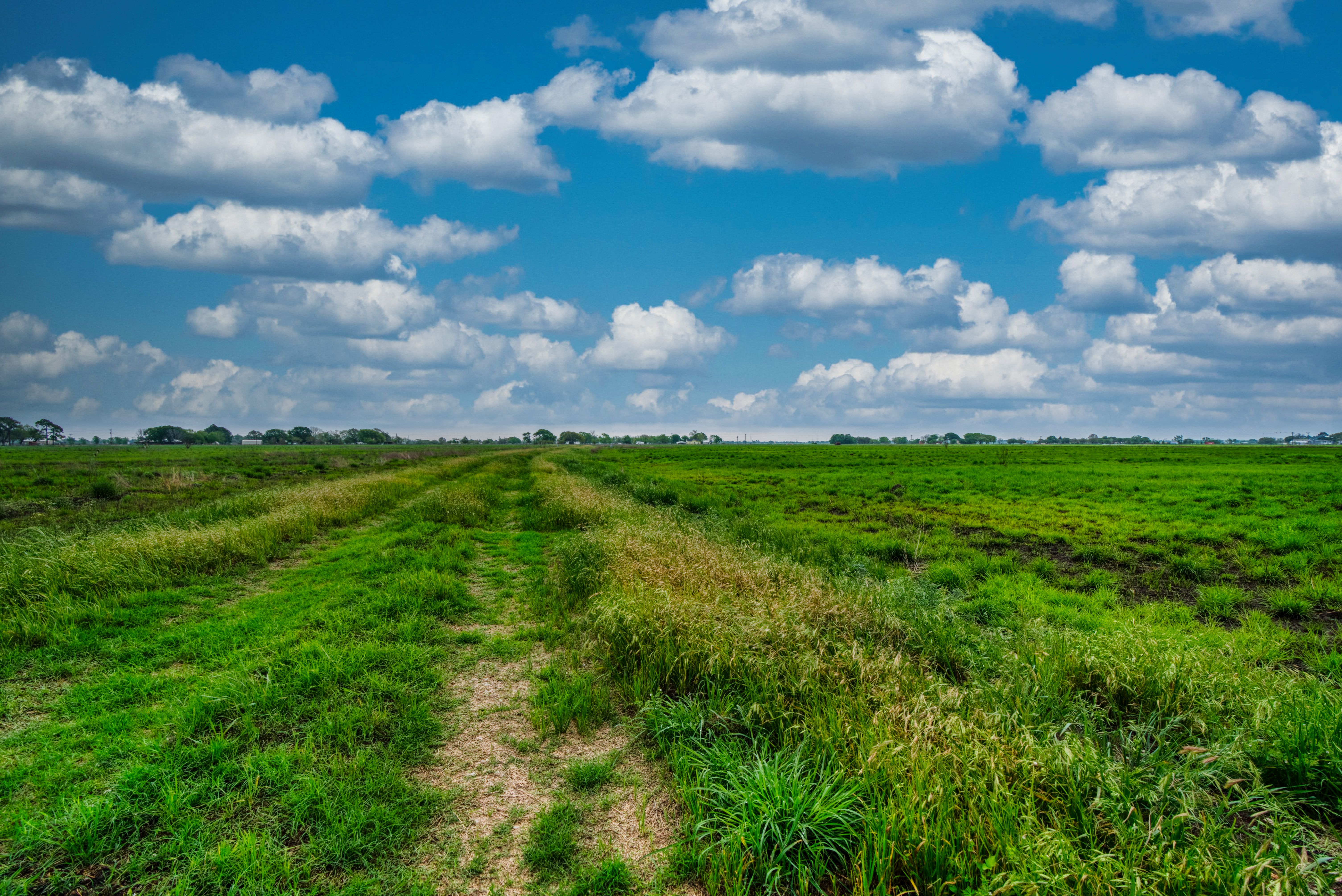 TBD County Road 385 