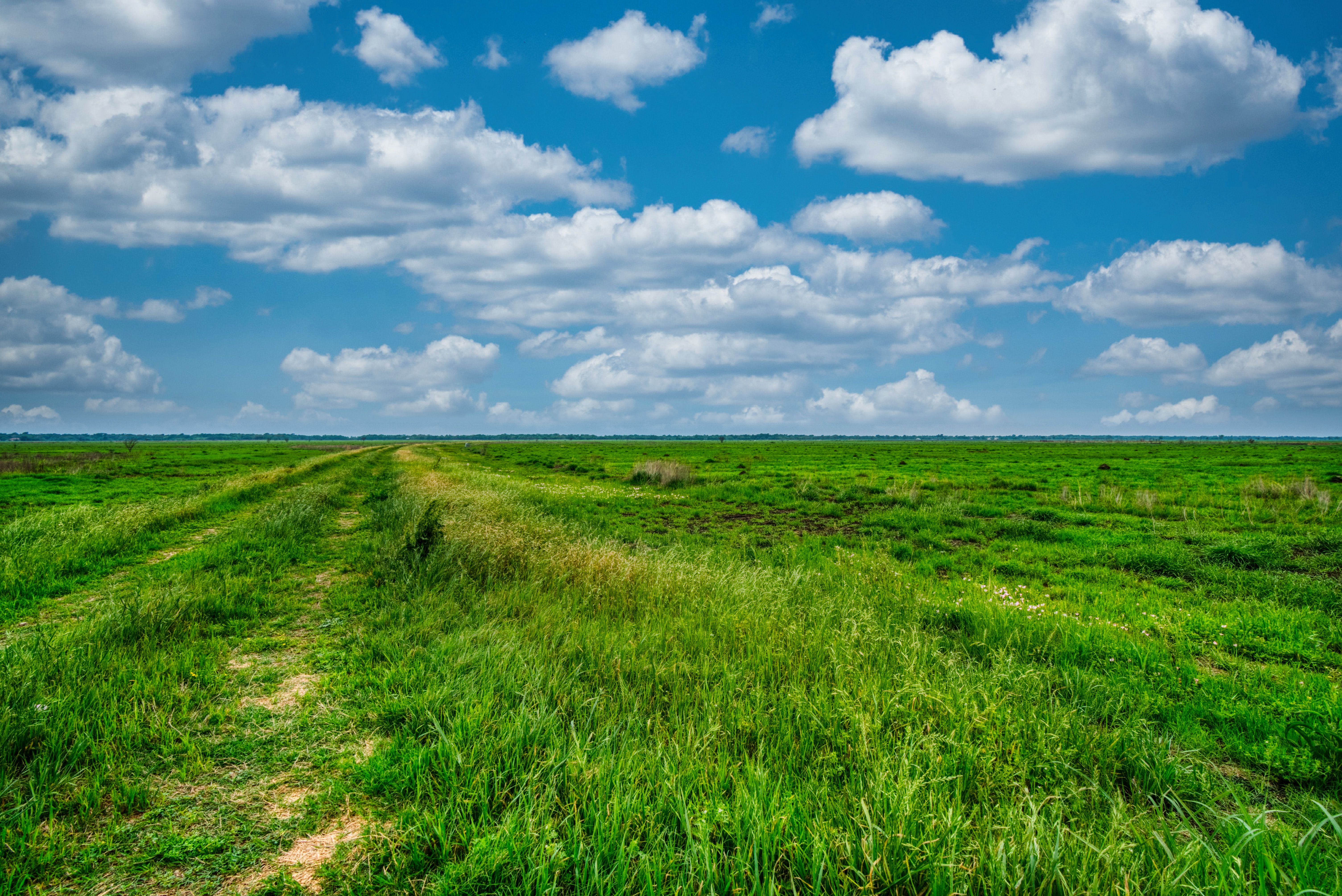 TBD County Road 385 
