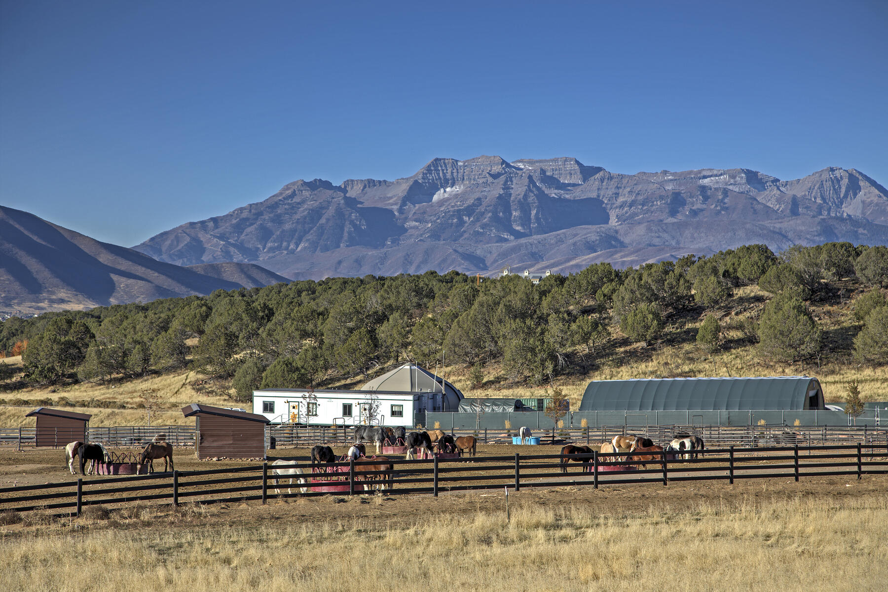 1850 E Kings Peak Cir 