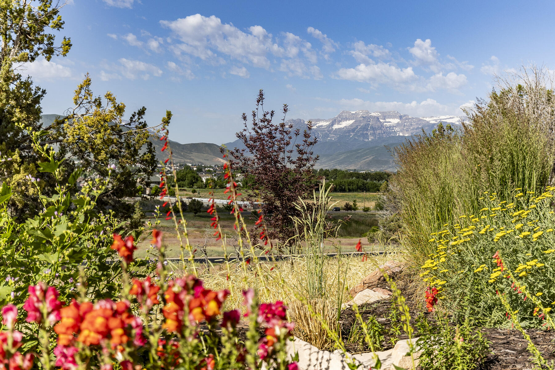 1850 E Kings Peak Cir 