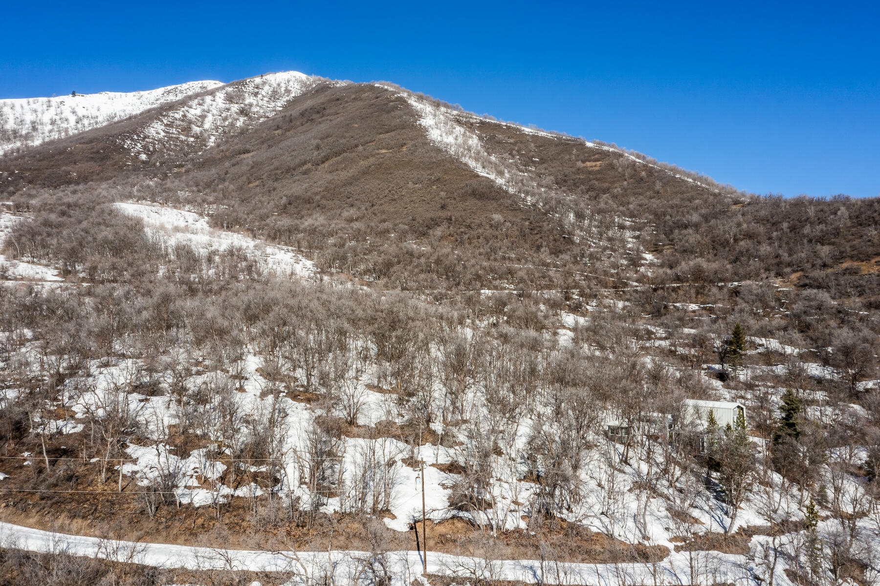 1195 Birch Dr, Lot 179