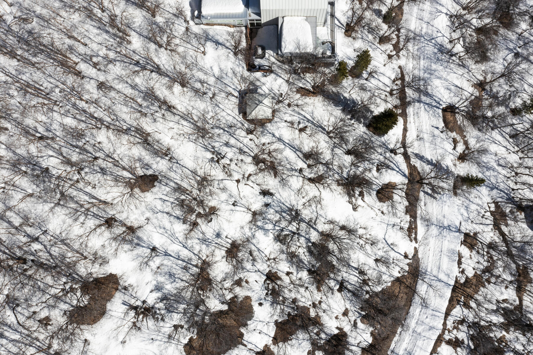 1195 Birch Dr, Lot 179