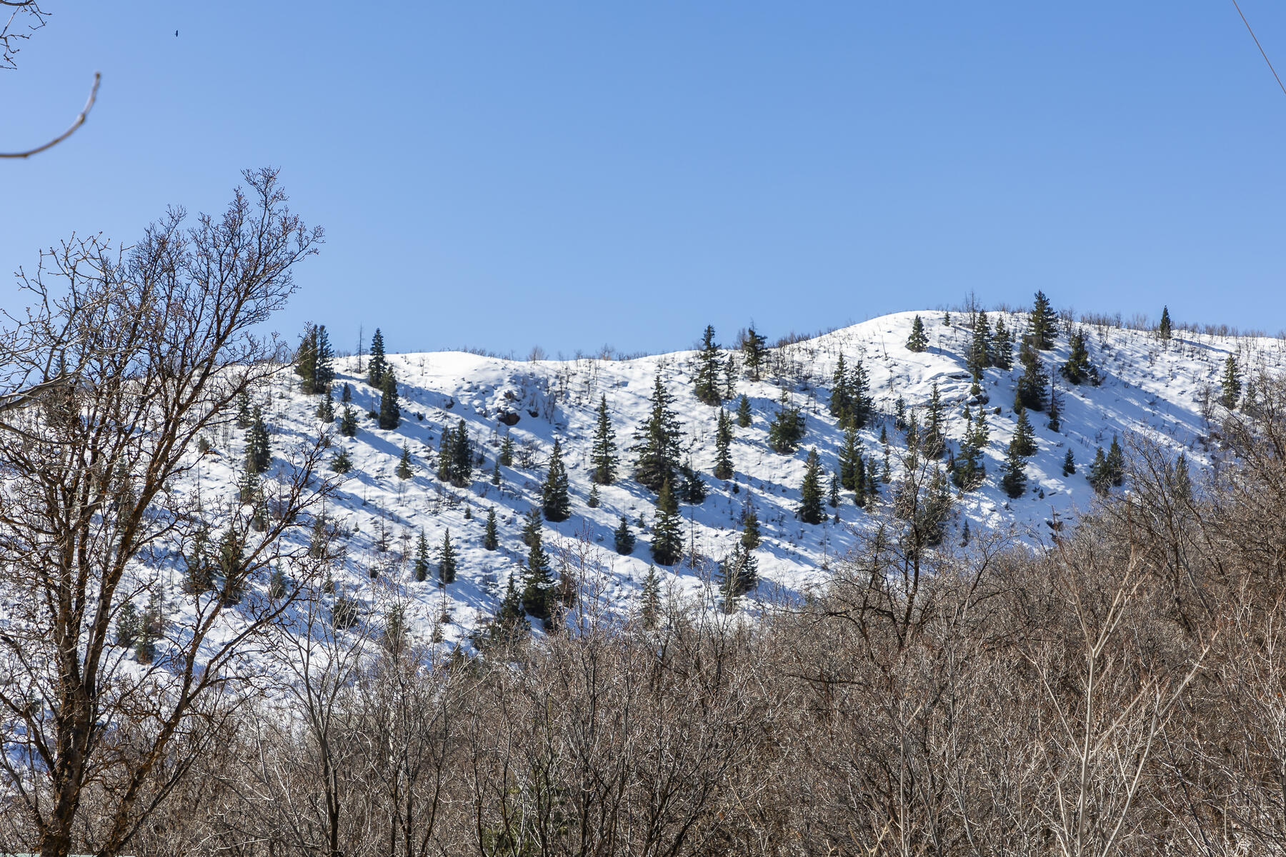 1195 Birch Dr, Lot 179