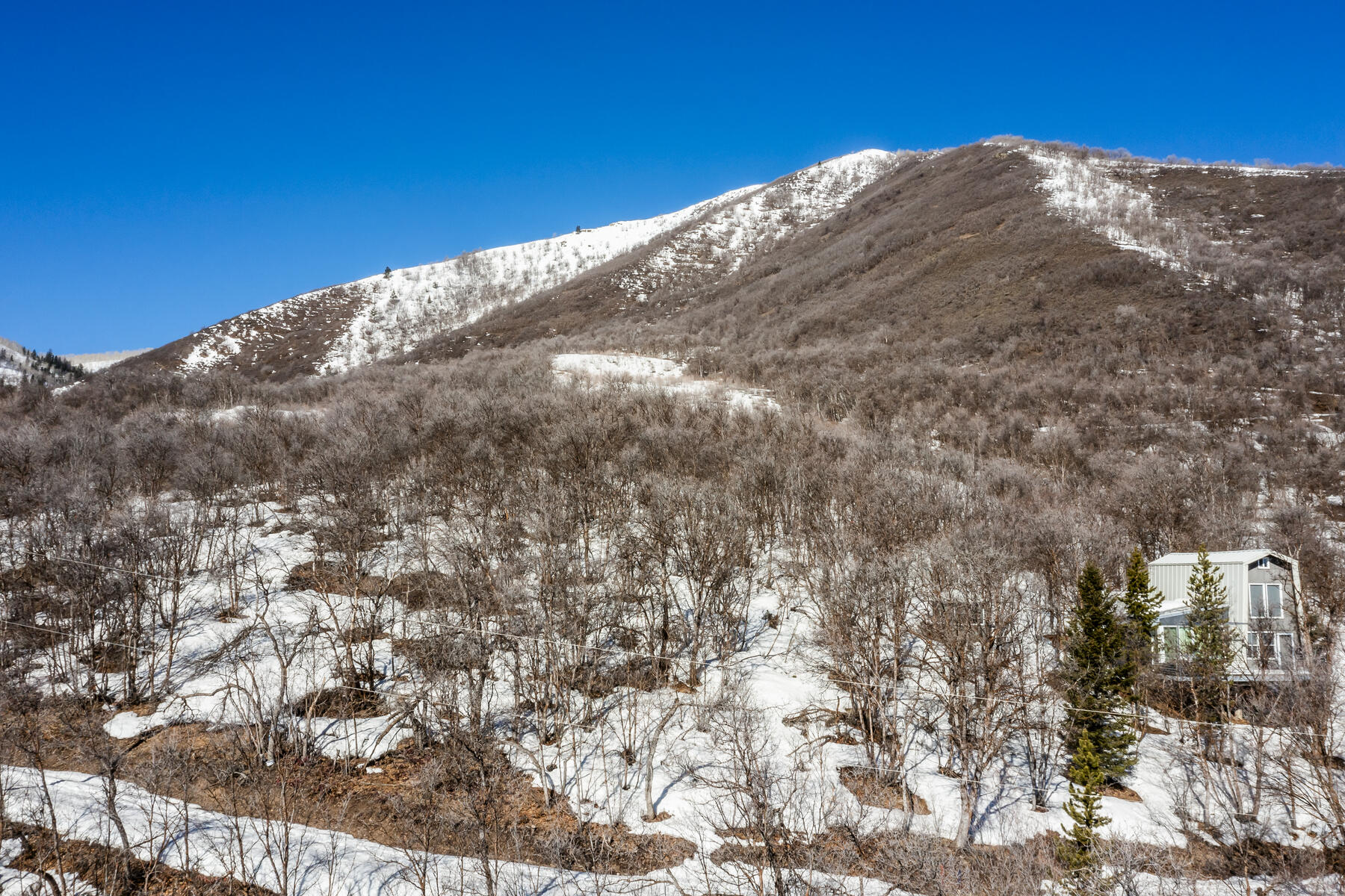 1195 Birch Dr, Lot 179