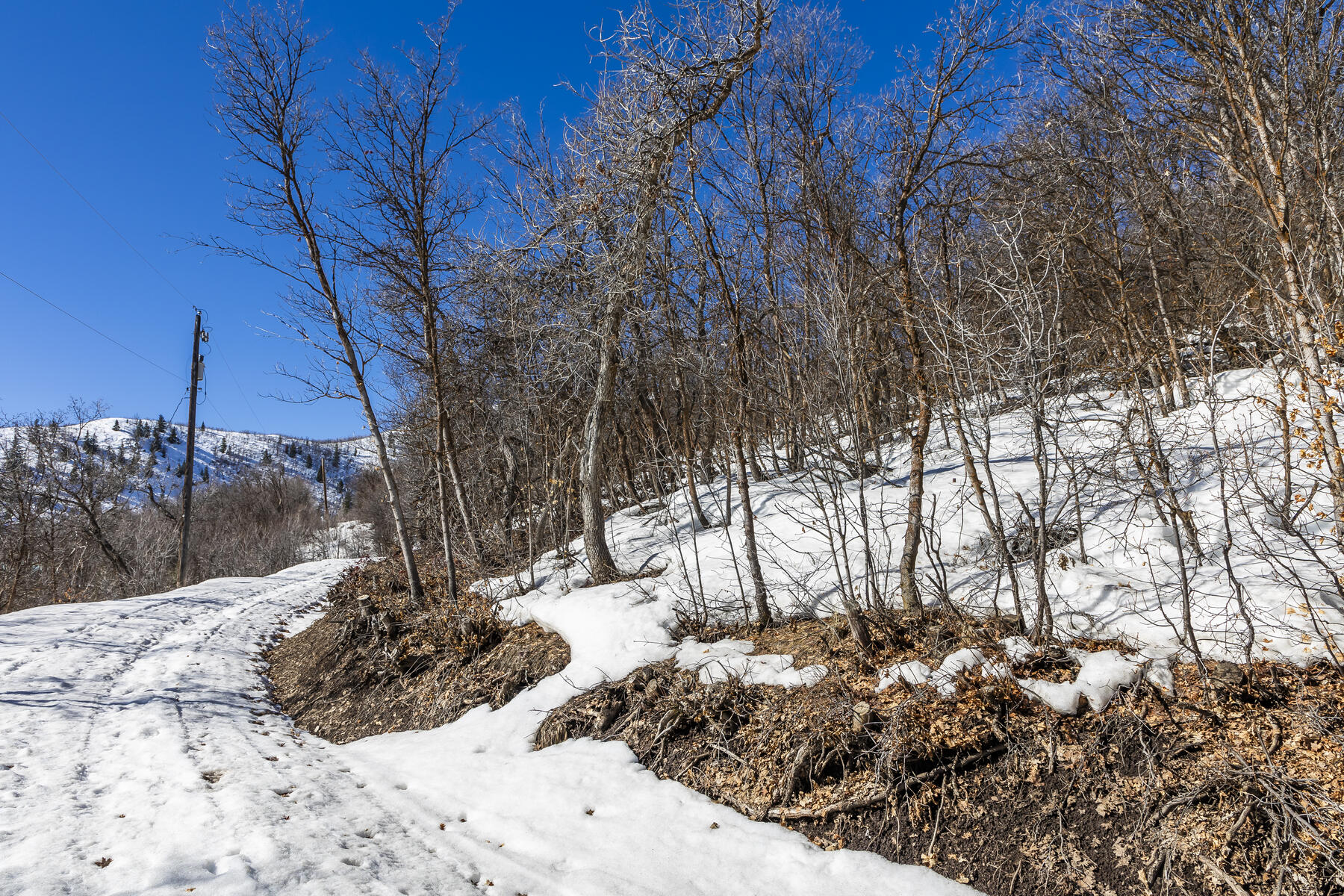 1195 Birch Dr, Lot 179