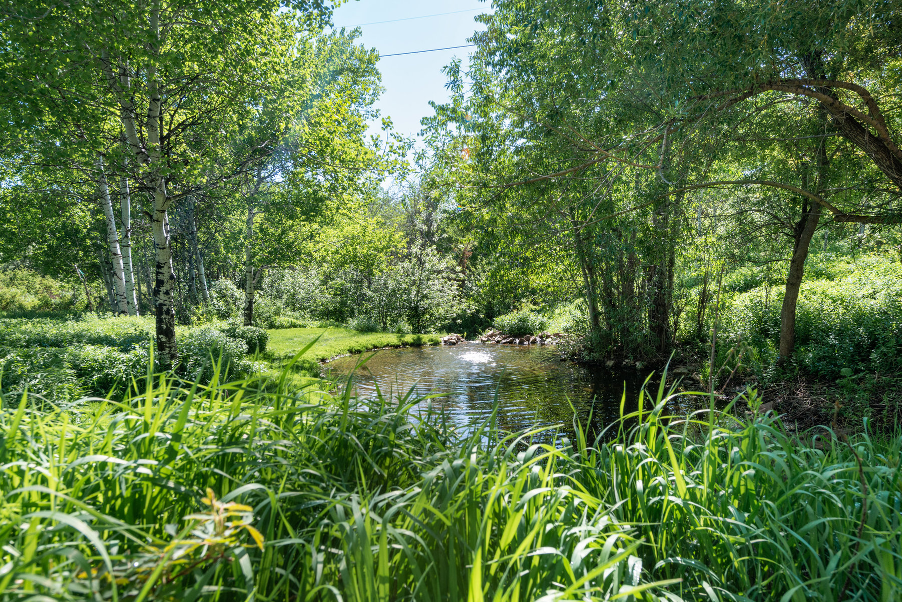 4284 W Hidden Cove Road 