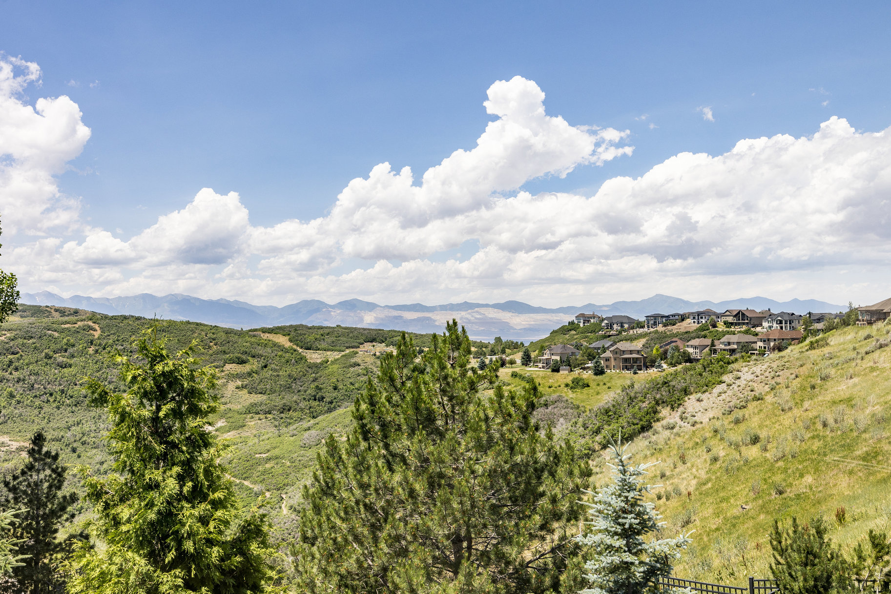 1791 E Longbranch Ct