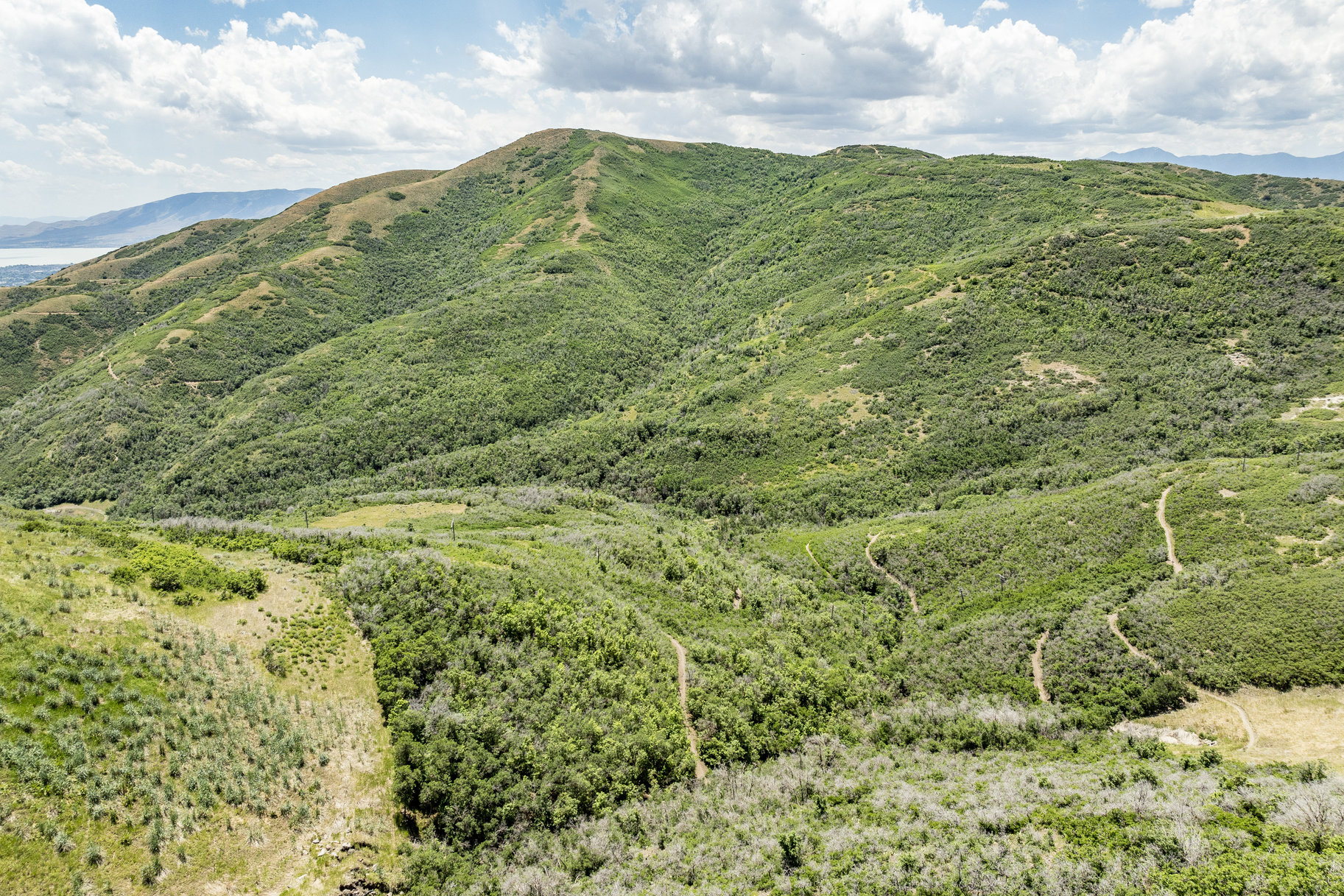 1791 E Longbranch Ct