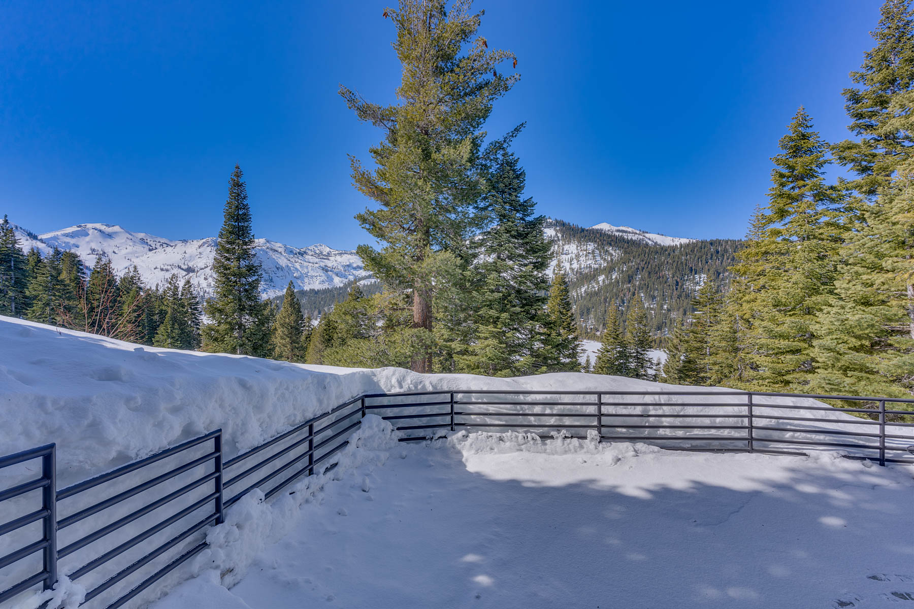 3116 Valley View Ct