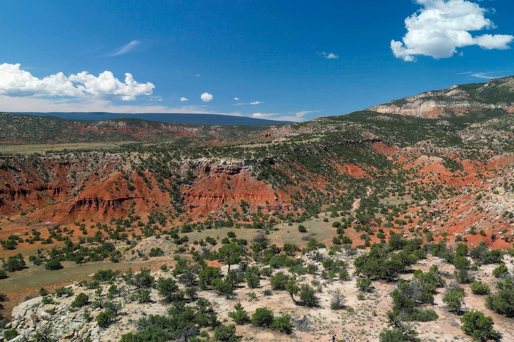 101 Mesa Prieta Road