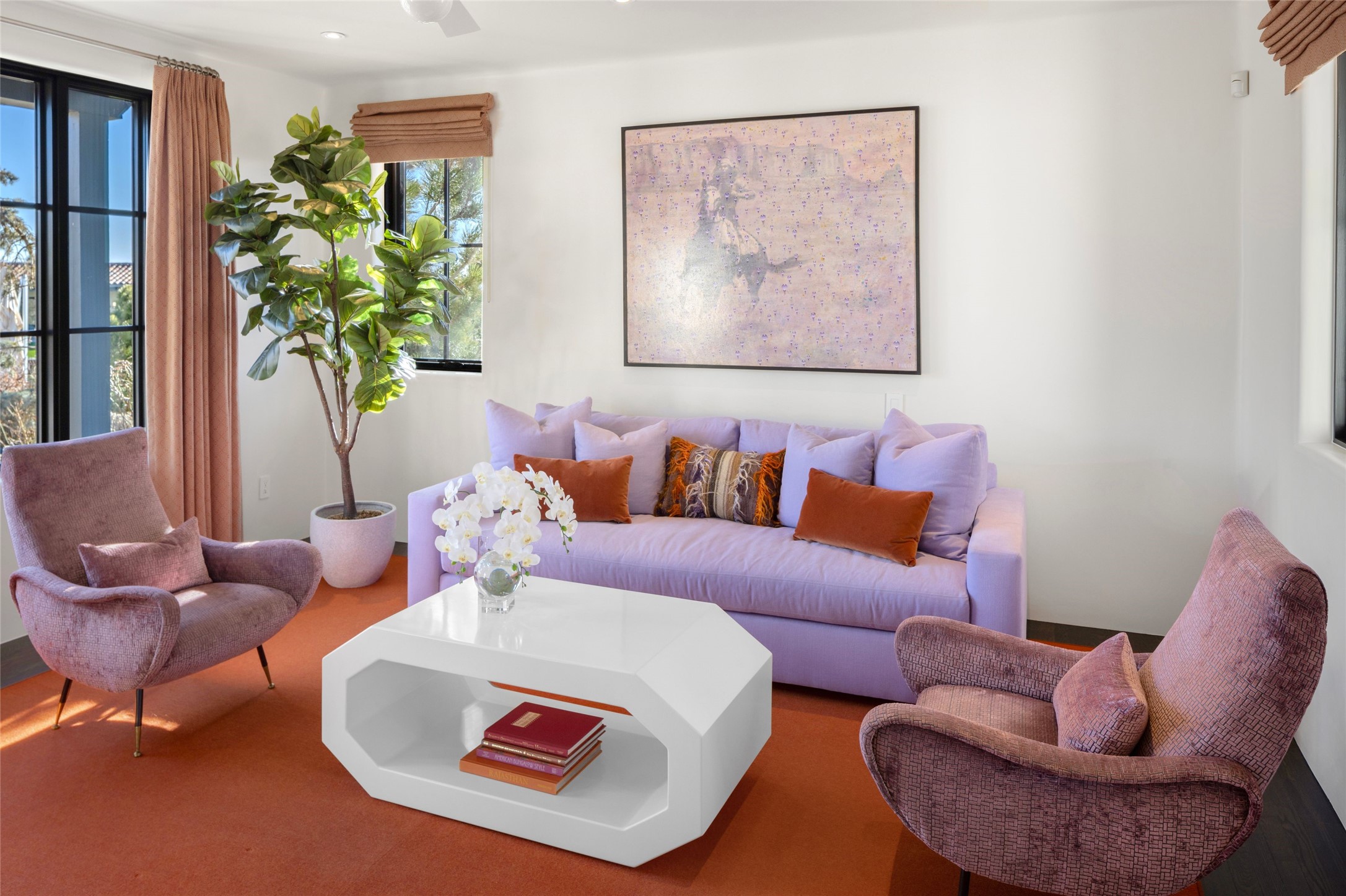 211 Camino Del Norte