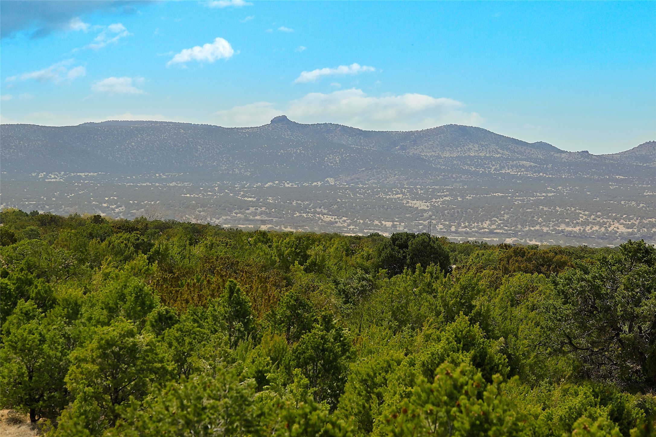 11 And 10 High Ridge Road