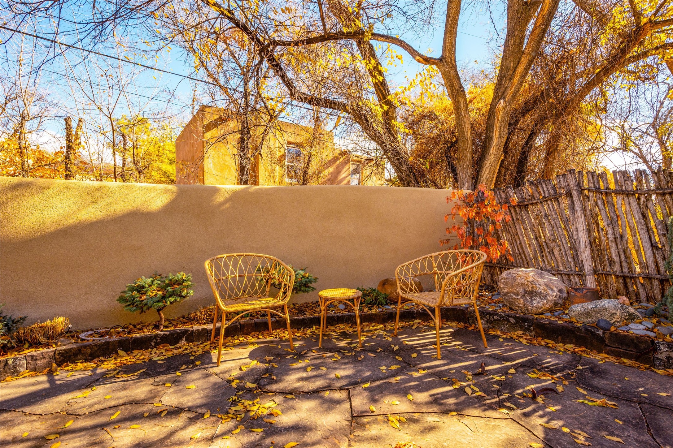 368 Rodriguez Street