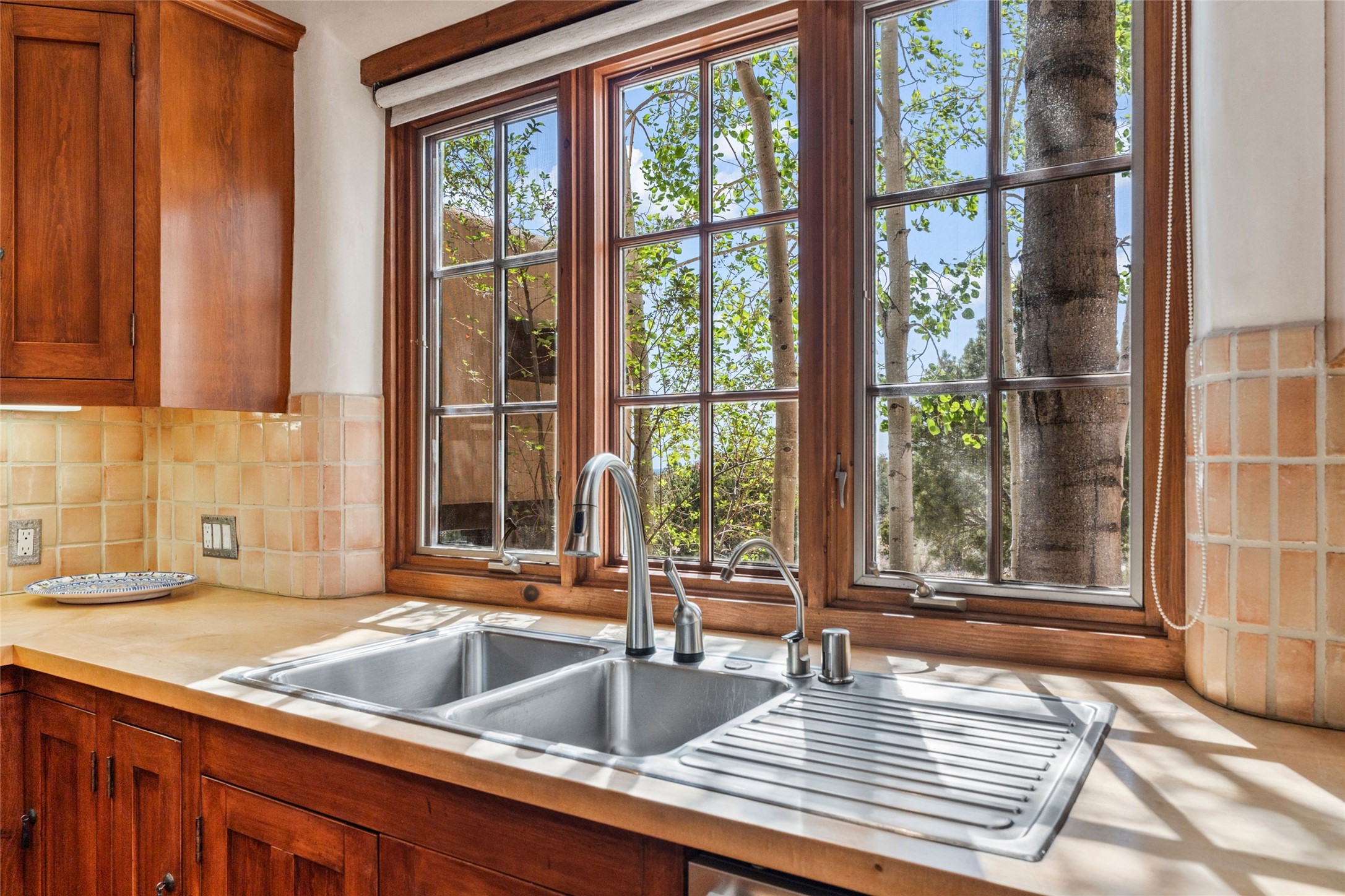 1863 Camino De Cruz Blanca