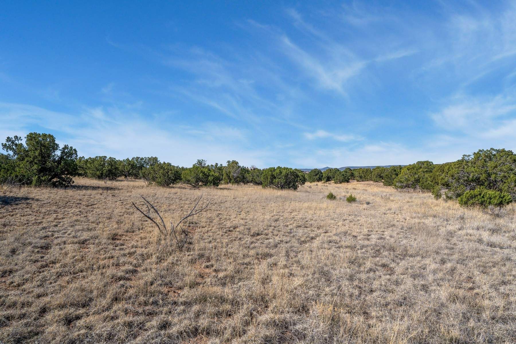 37 Picacho Peak Drive 