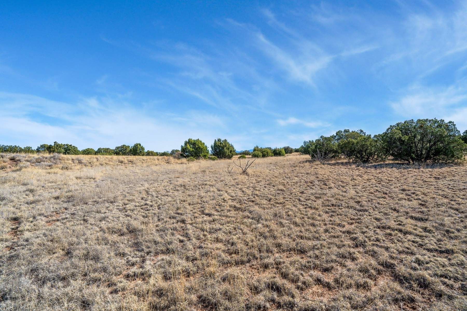 37 Picacho Peak Drive 