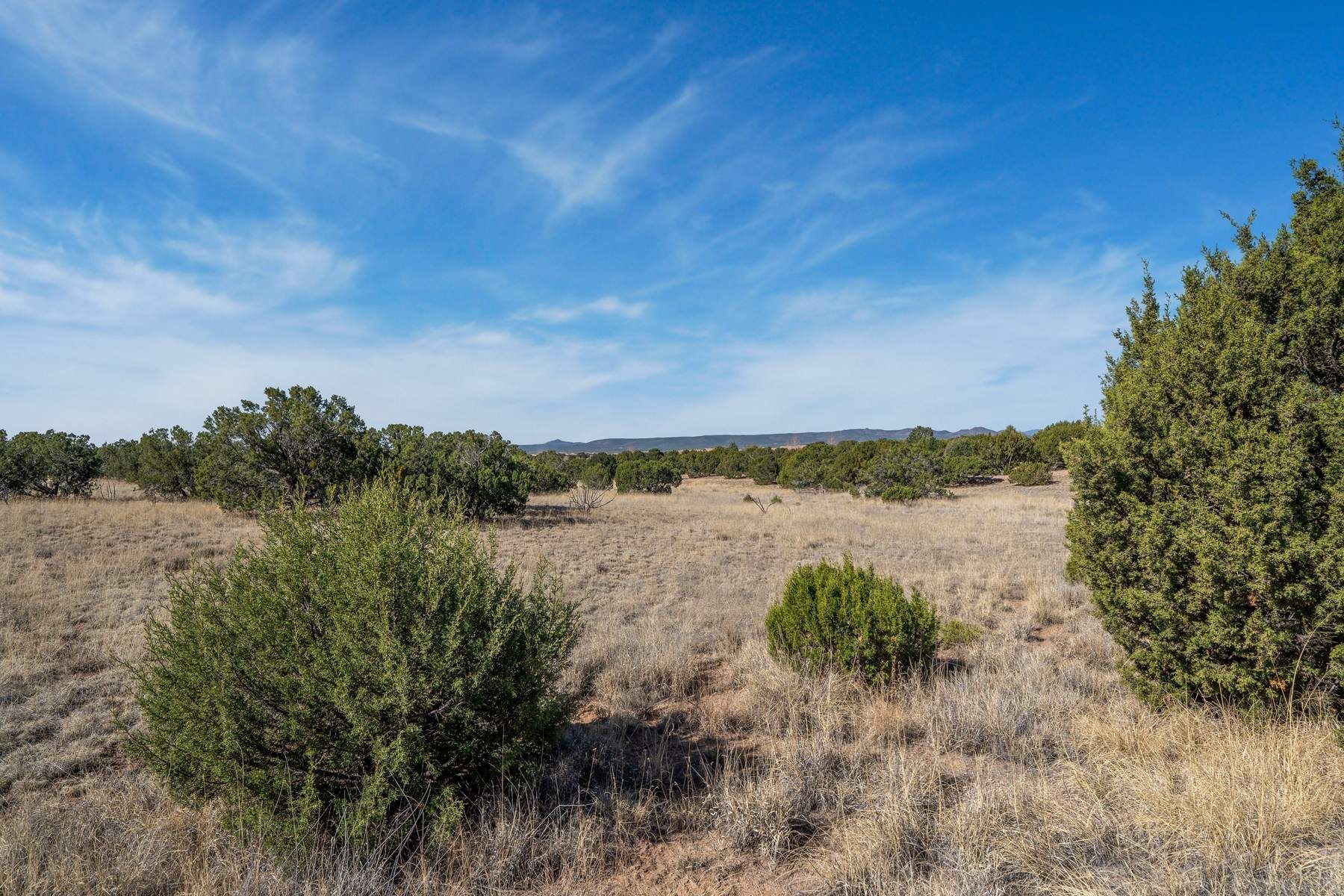 37 Picacho Peak Drive 