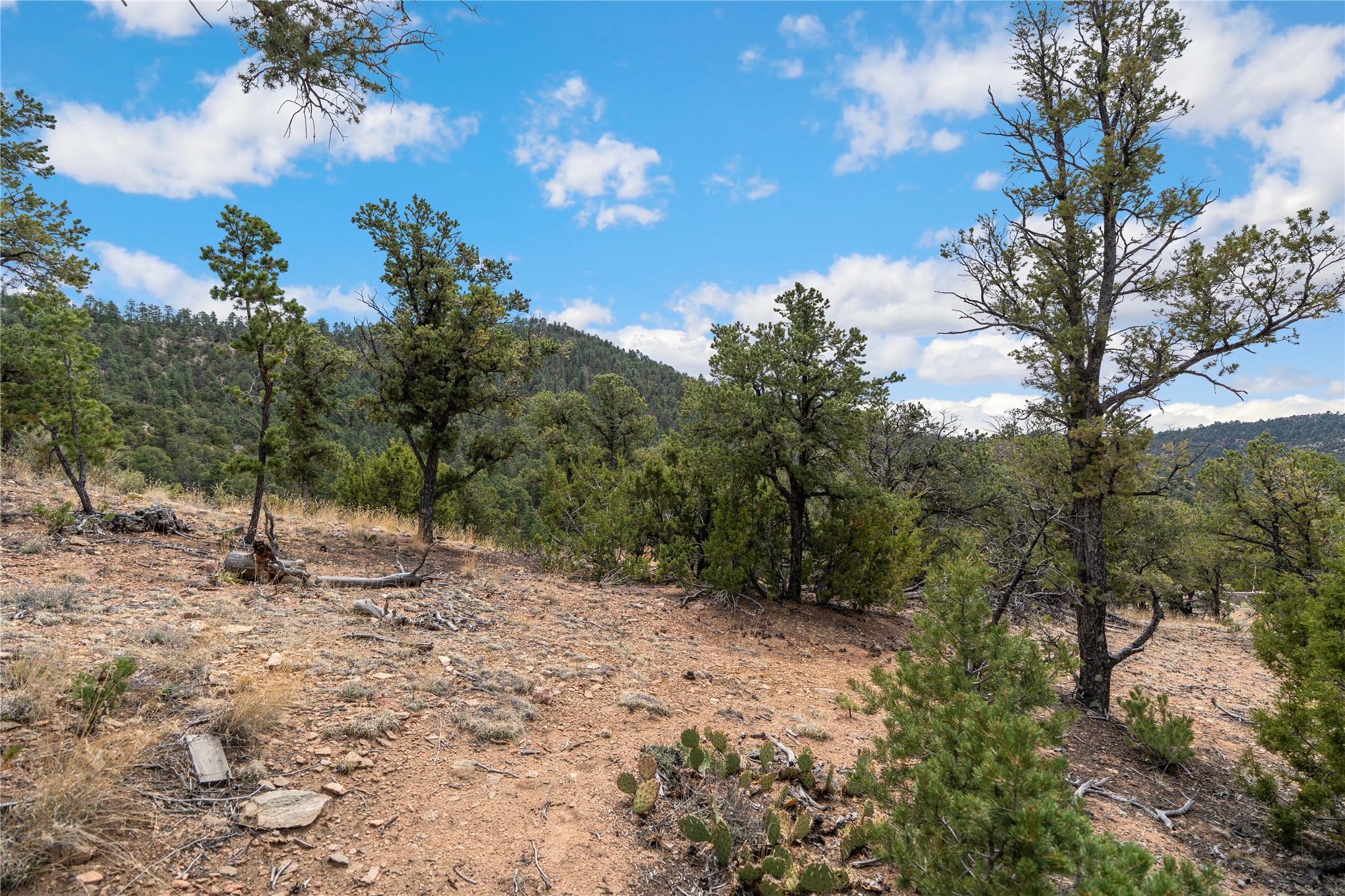 2567 Atalaya Hills Trail 